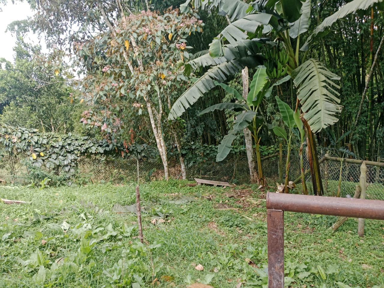 CASA  FINCA EN VENTA EN ENVIGADO COD 9720 - Foto 34
