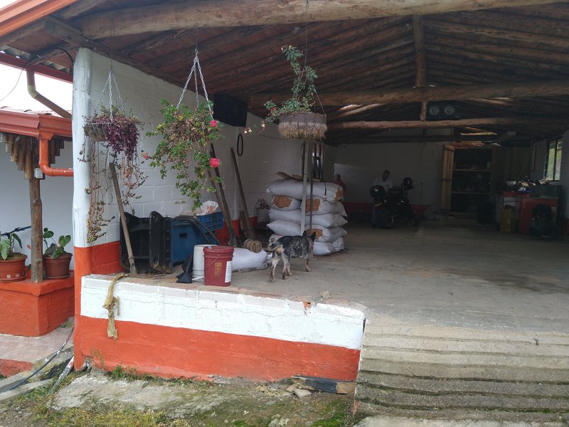 FINCA EN VENTA EN SAN ANTONIO DE PRADO COD 7048 - Foto 9