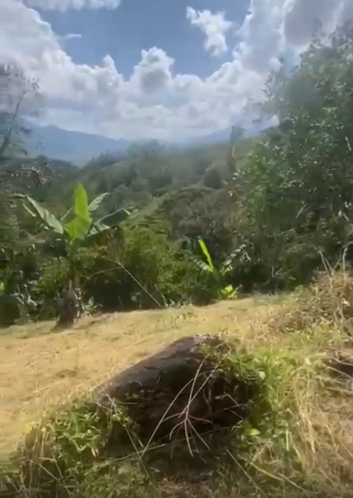 LOTE EN VENTA EN SAN CARLOS ANTIOQUIA COD 9685 - Foto 6