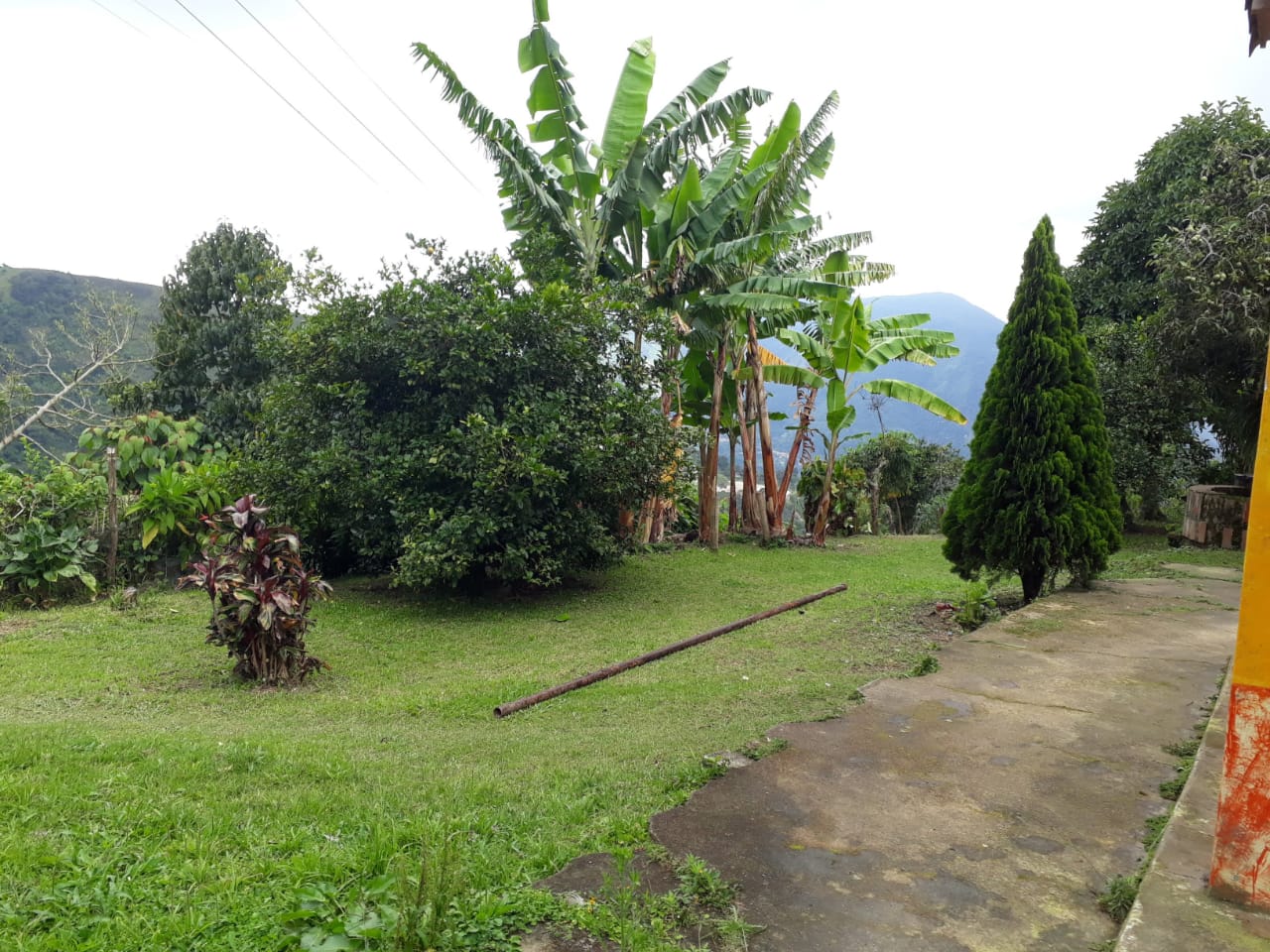FINCA EN VENTA EN AMAGA COD 7426 - Foto 7