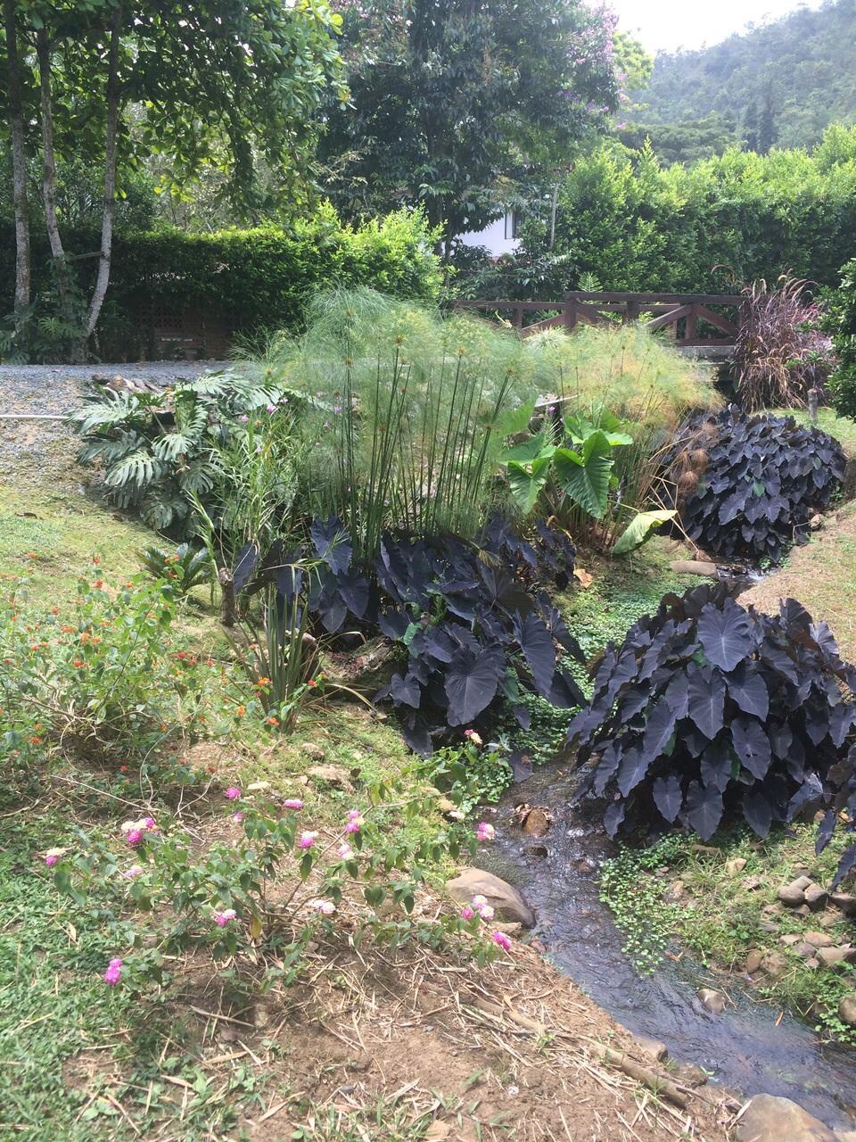 SE VENDE CASA CAMPESTRE EN PARCELACIÓN CHORRO DE PLATA - CALI