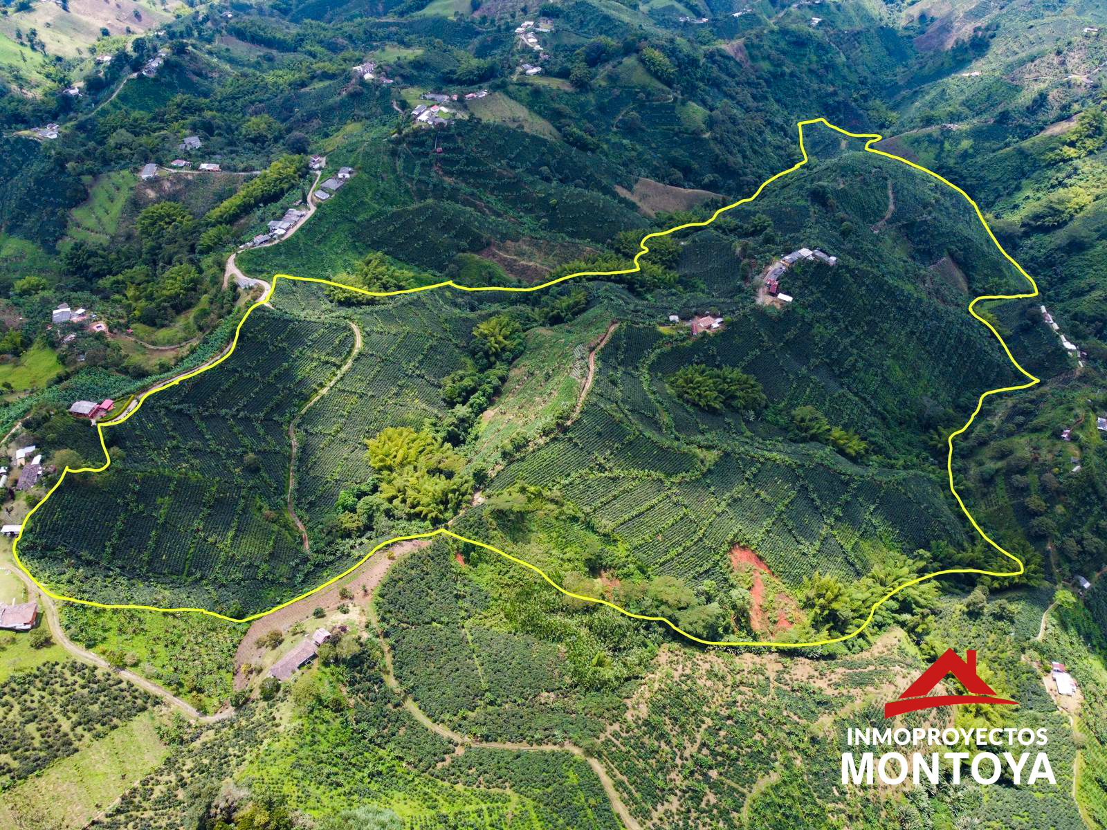 Finca cafetera tecnificada en Santa Rosa de Cabal