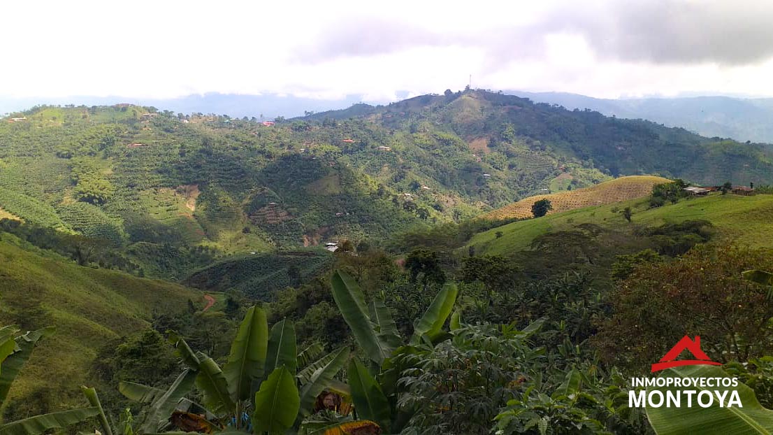 Finca cafetera tecnificada vía a Marsella