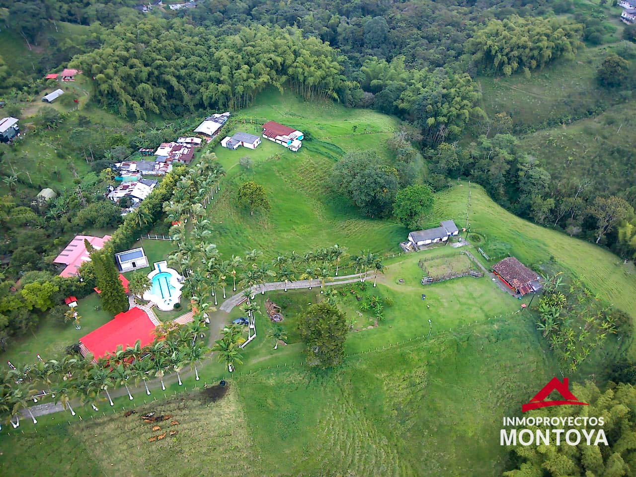 Finca ganadera en Condina, Pereira