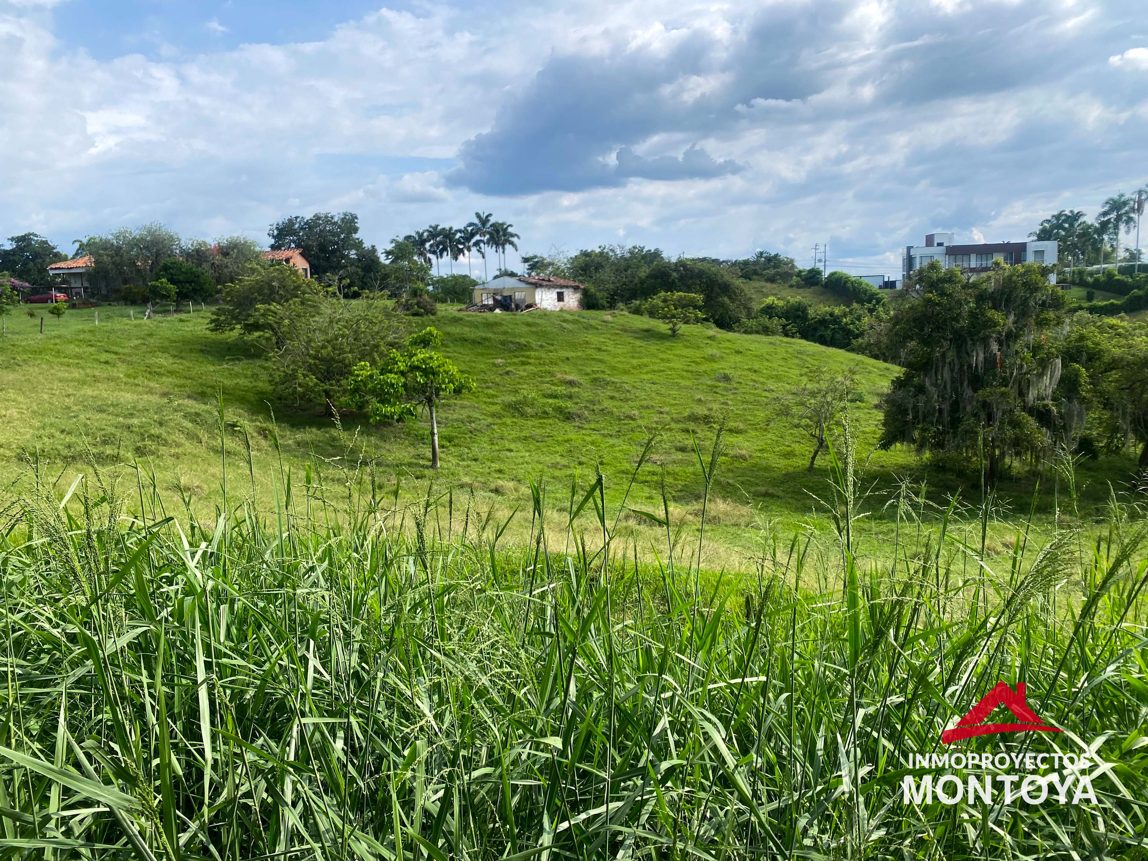 Lote sobre la vía Cerritos, Pereira