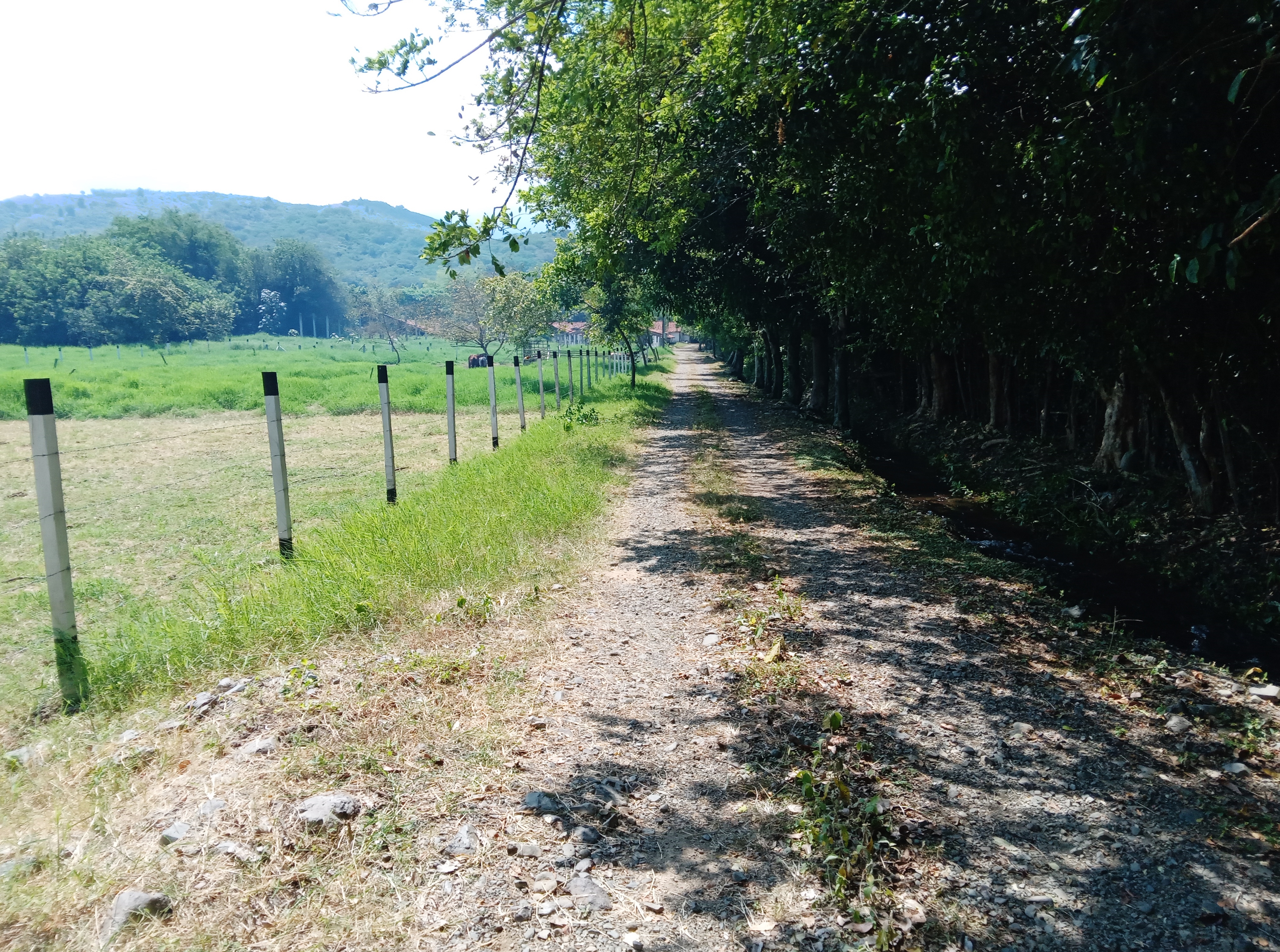 Finca Levaniega en Venta, Vía  Palmira  - Pradera,