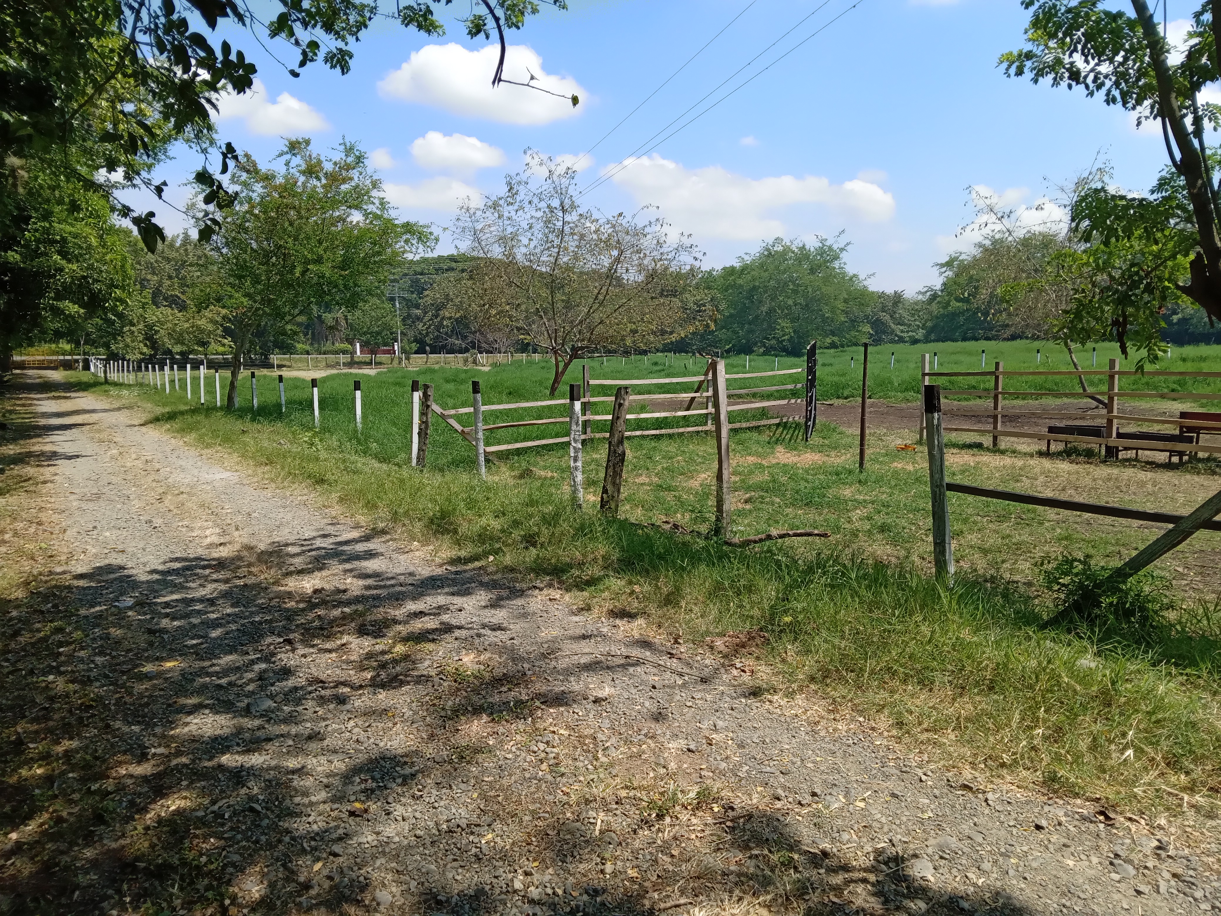 Finca Levaniega en Venta, Vía  Palmira  - Pradera,