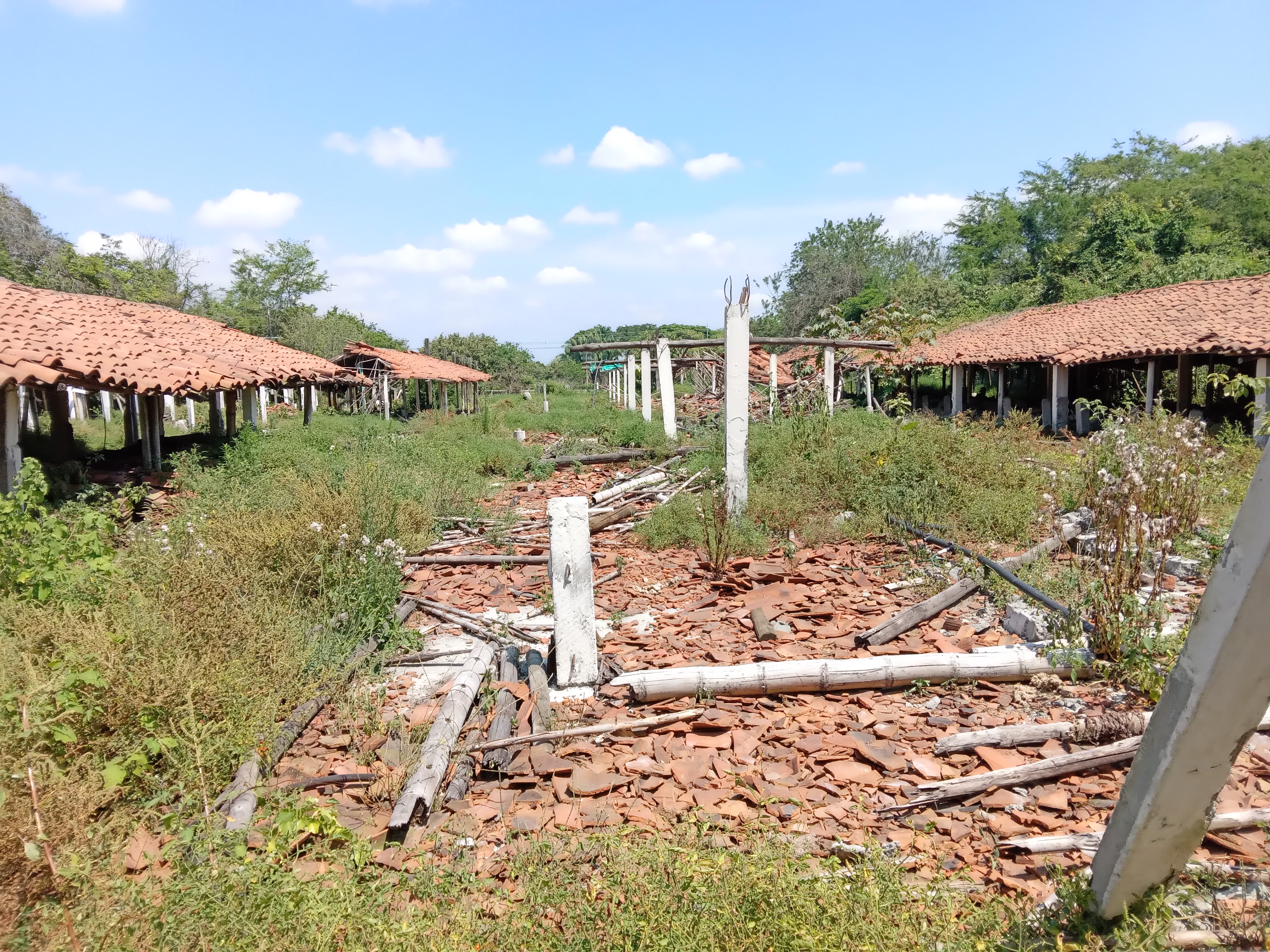 Finca Levaniega en Venta, Vía  Palmira  - Pradera,