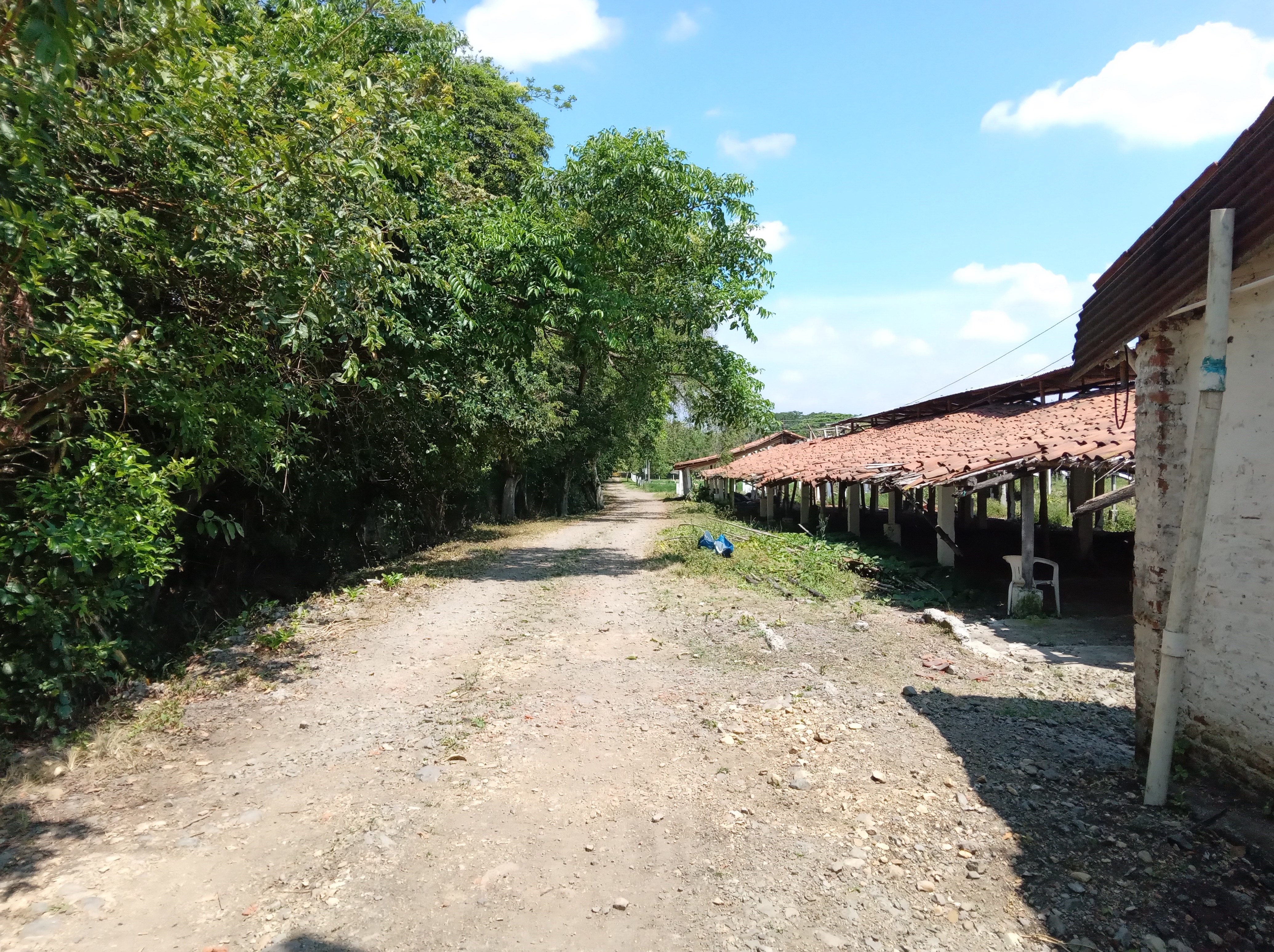 Finca Levaniega en Venta, Vía  Palmira  - Pradera,