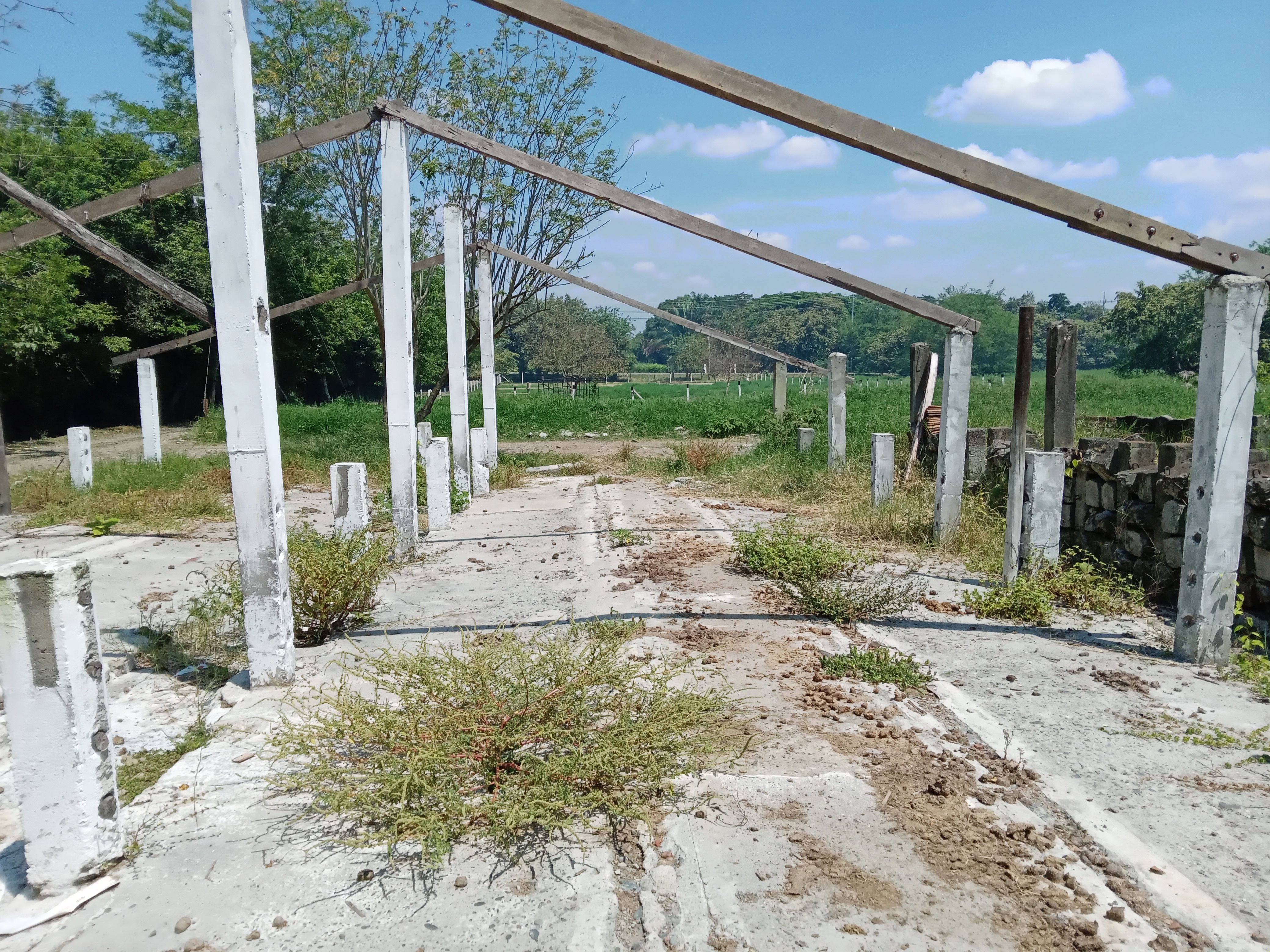 Finca Levaniega en Venta, Vía  Palmira  - Pradera,