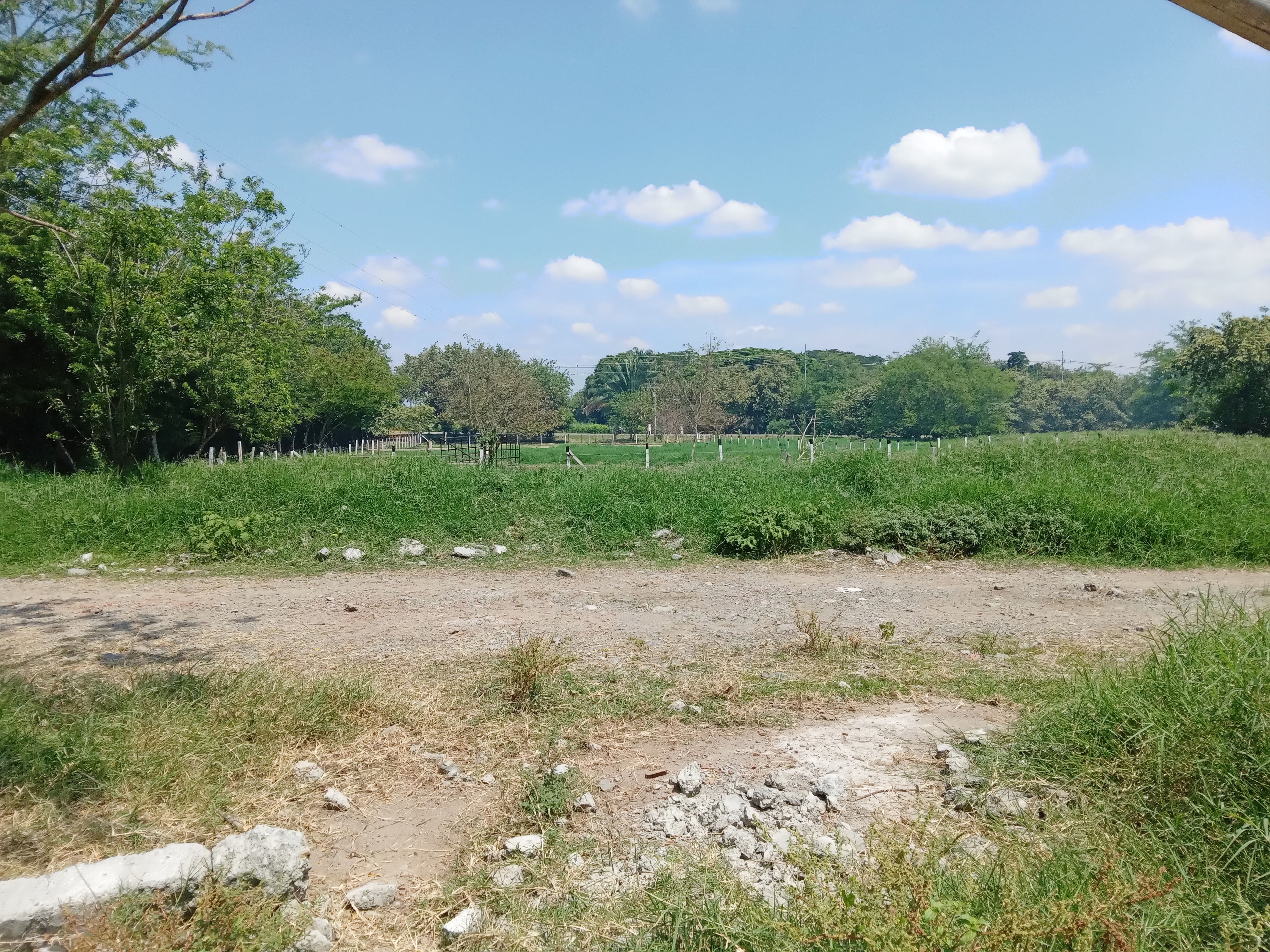 Finca Levaniega en Venta, Vía  Palmira  - Pradera,