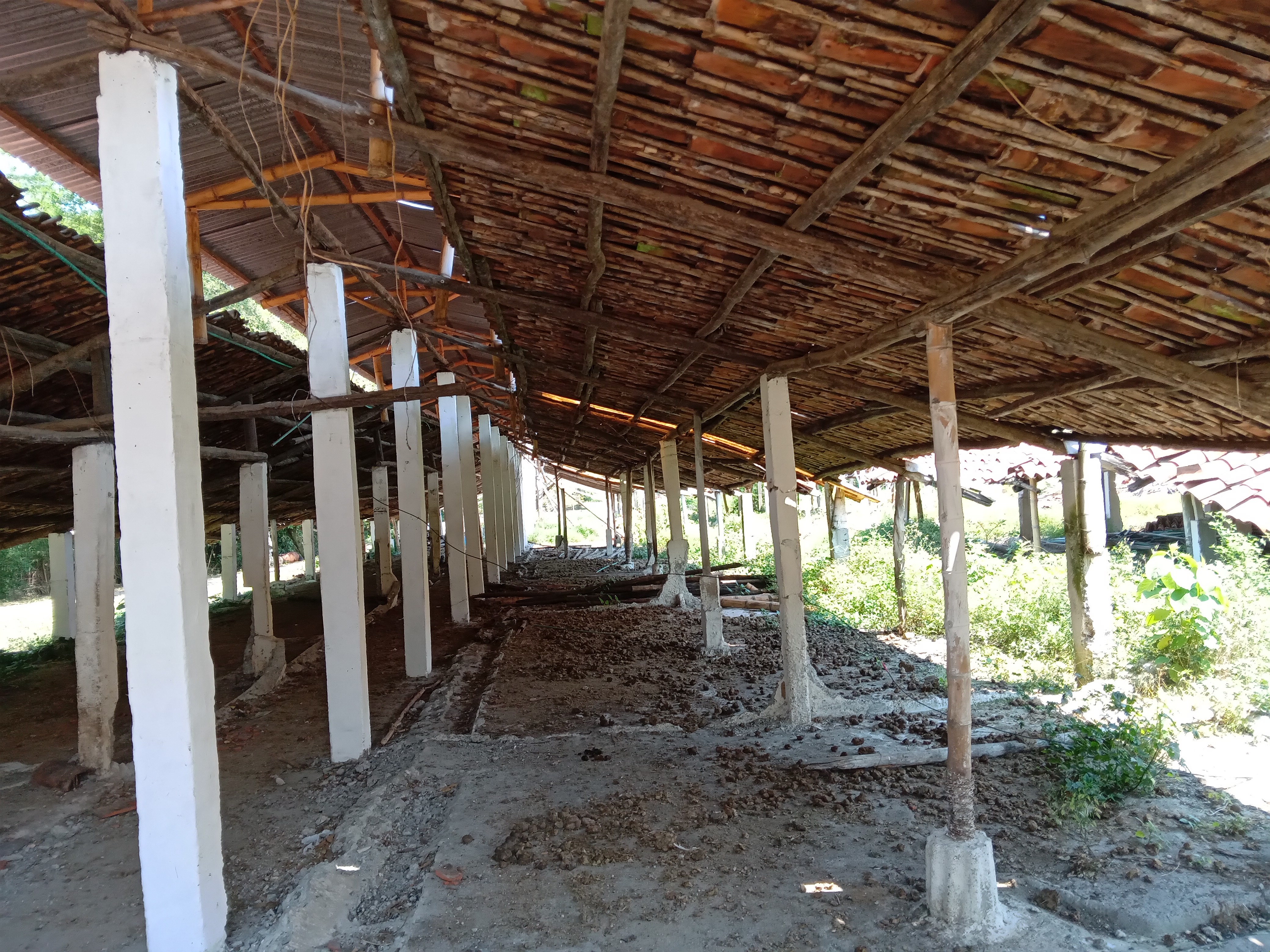 Finca Levaniega en Venta, Vía  Palmira  - Pradera,