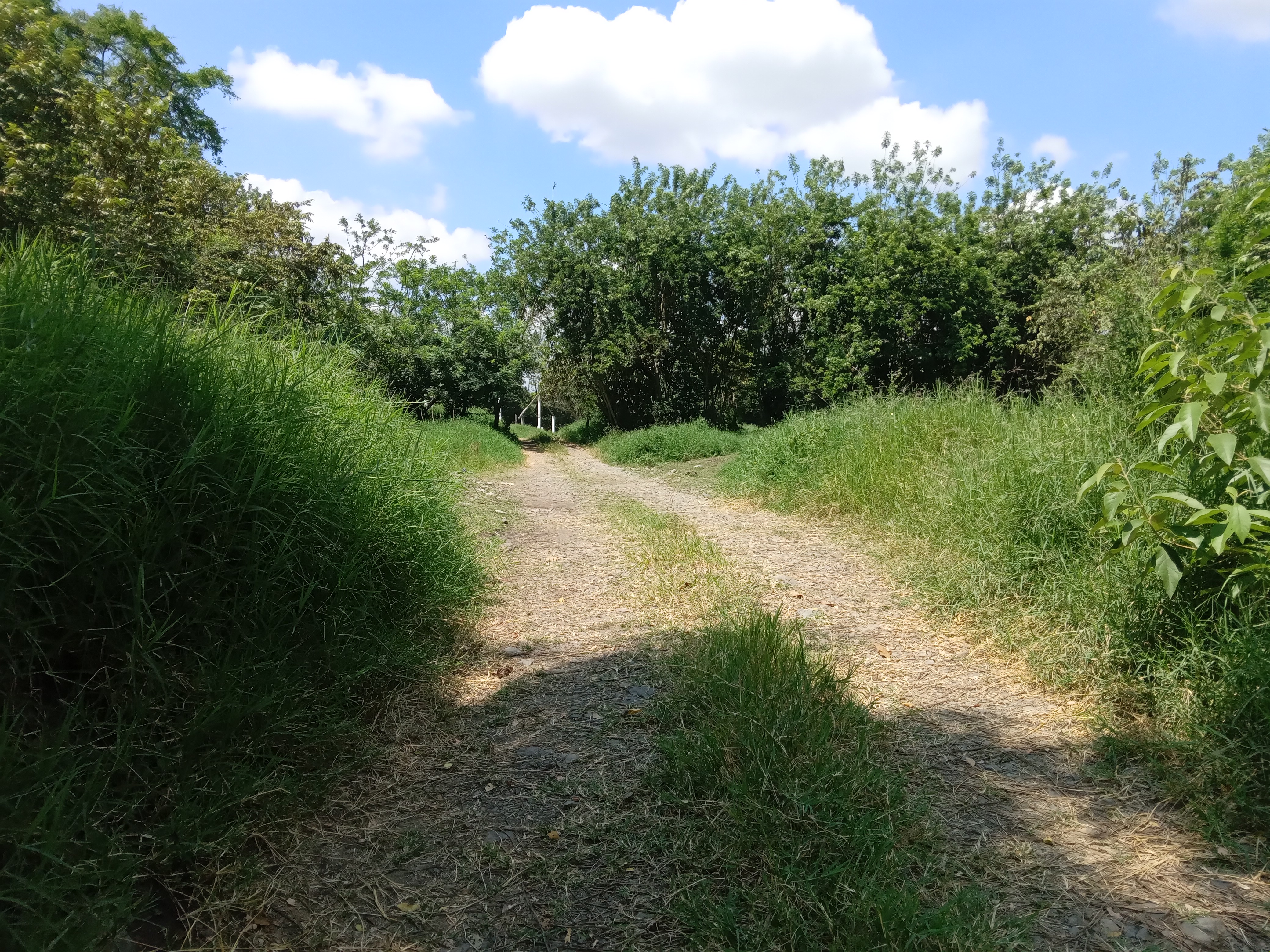 Finca Levaniega en Venta, Vía  Palmira  - Pradera,