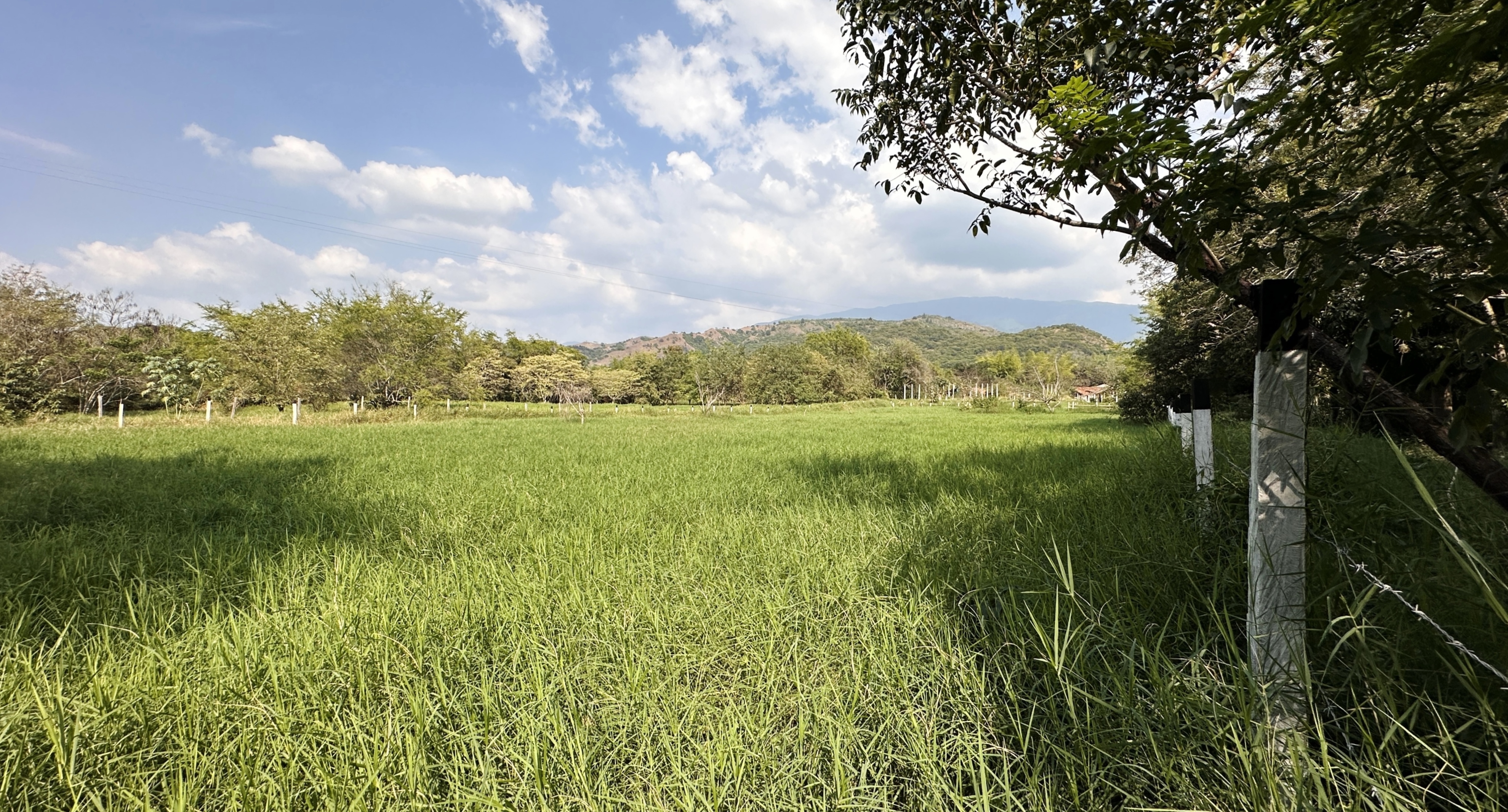 Finca Levaniega en Venta, Vía  Palmira  - Pradera,