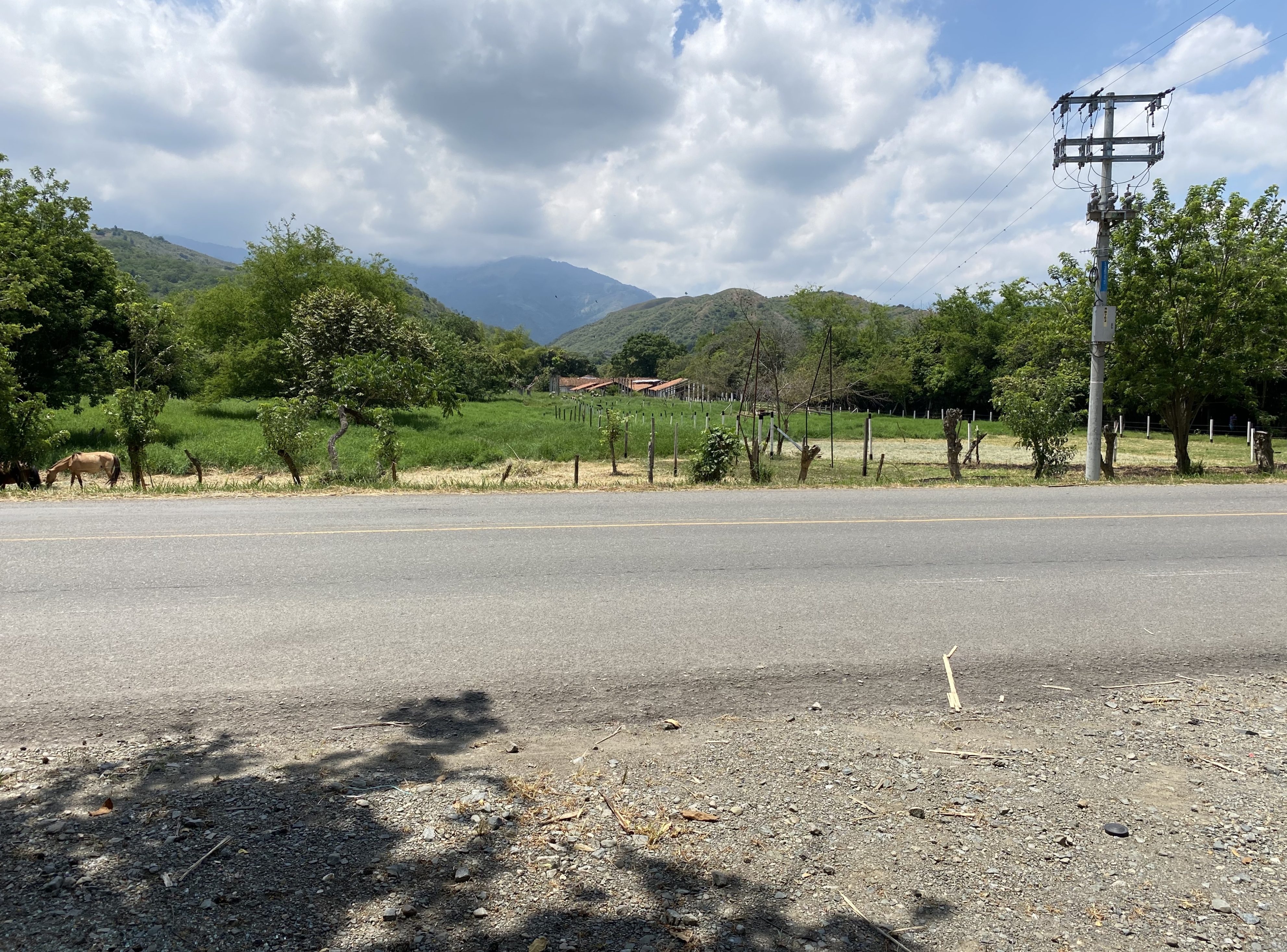 Finca Levaniega en Venta, Vía  Palmira  - Pradera,