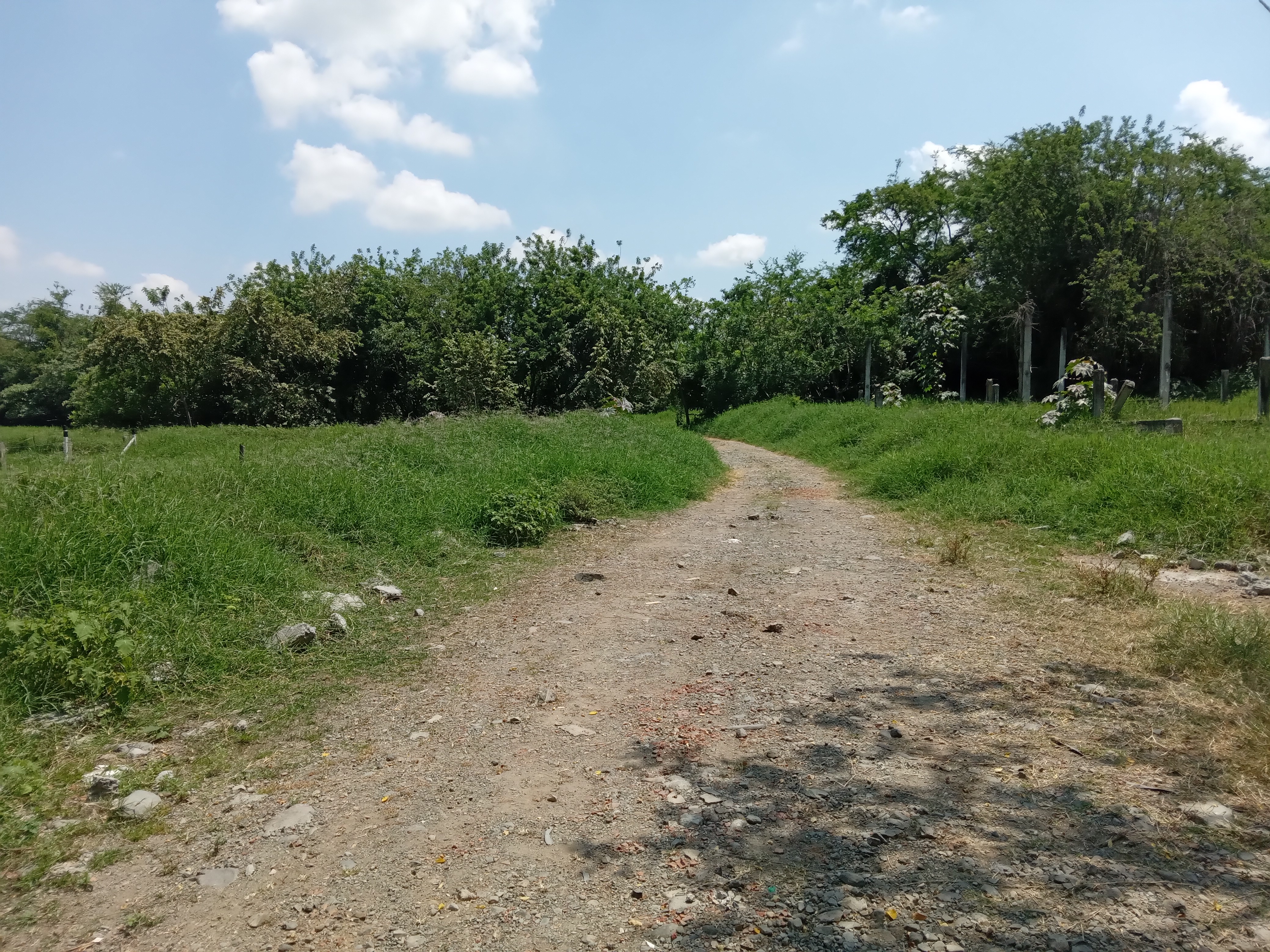 Finca Levaniega en Venta, Vía  Palmira  - Pradera,
