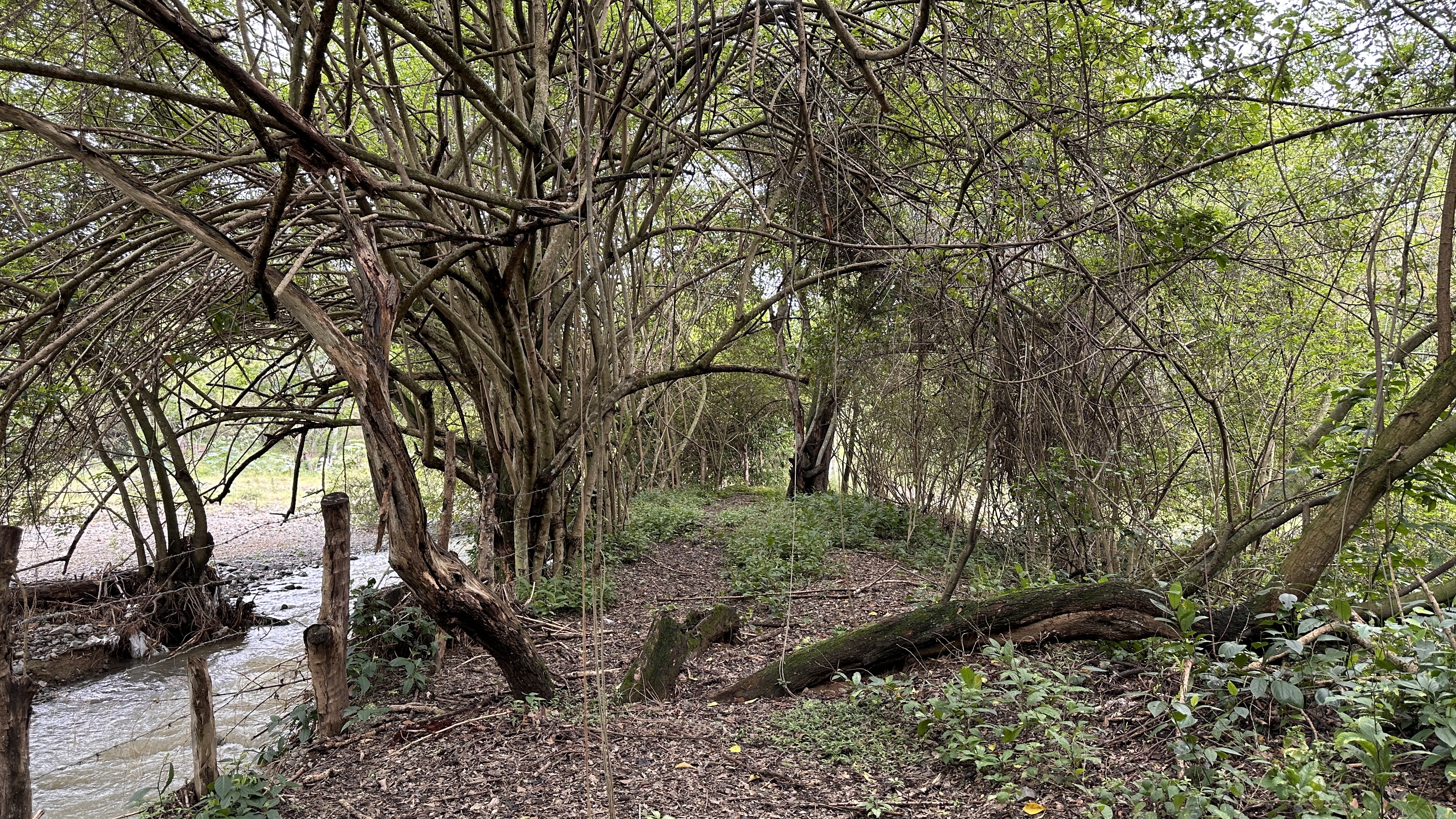 Finca Levaniega en Venta, Vía  Palmira  - Pradera,