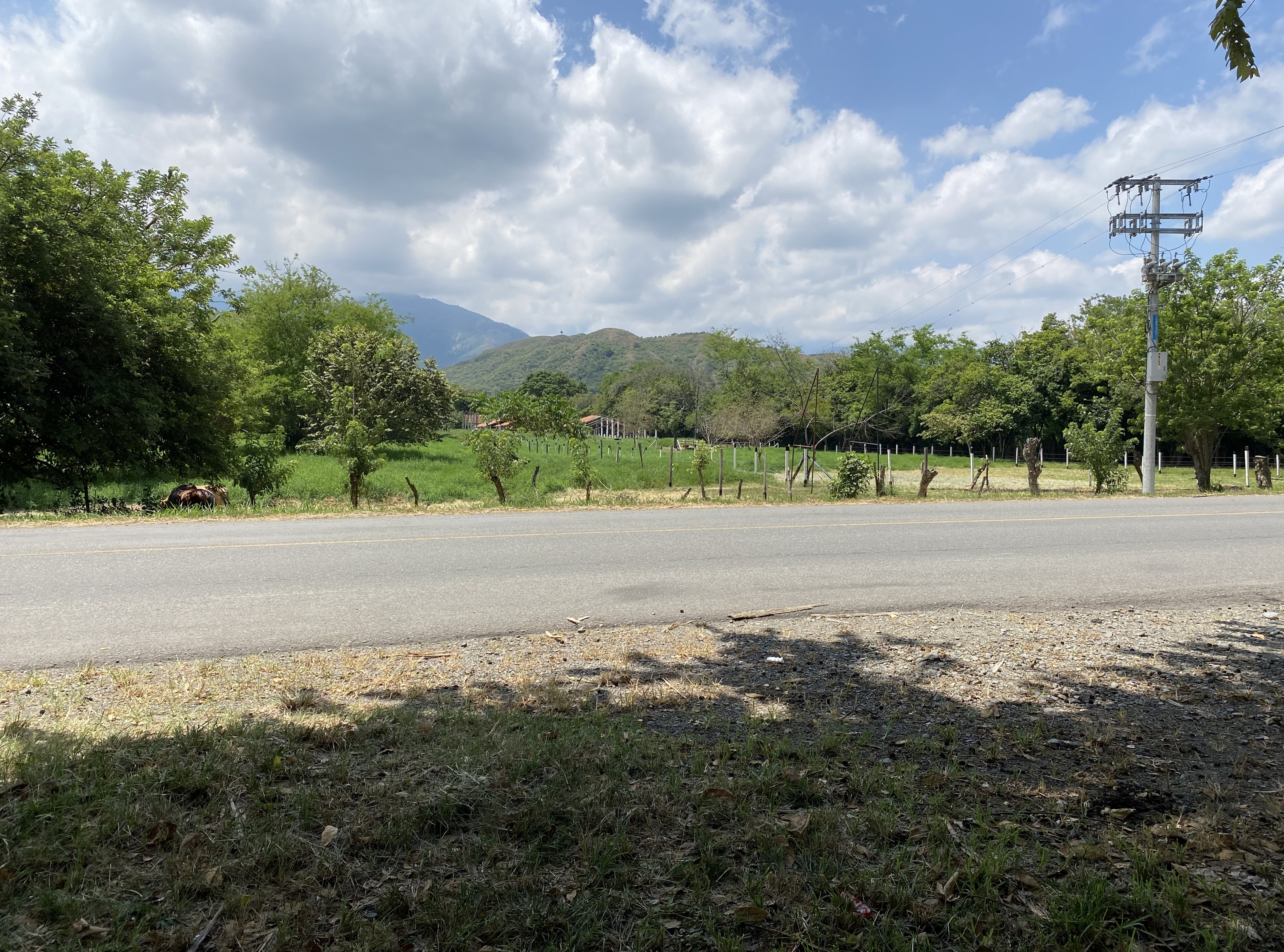 Finca Levaniega en Venta, Vía  Palmira  - Pradera,