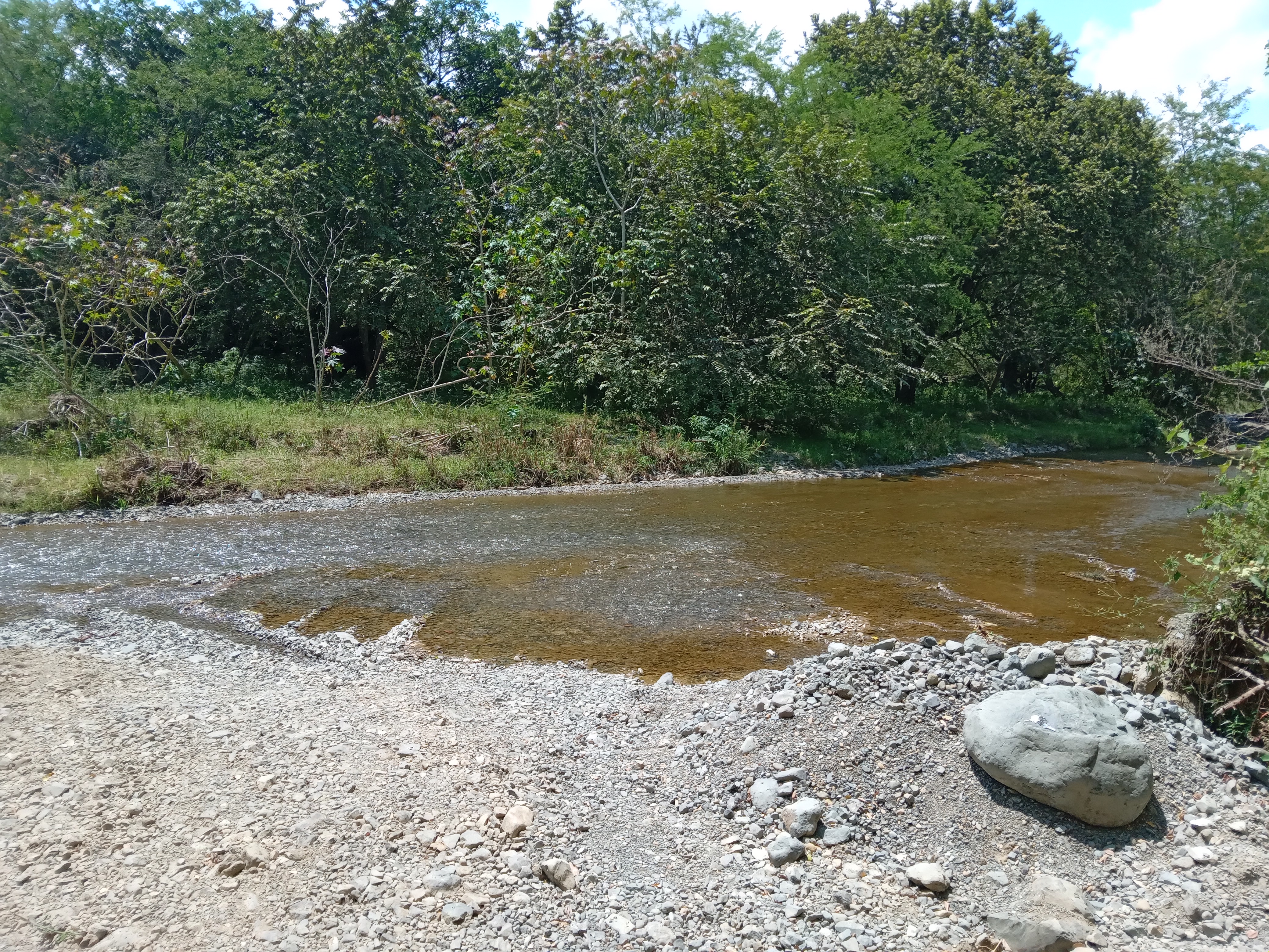 Finca Levaniega en Venta, Vía  Palmira  - Pradera,