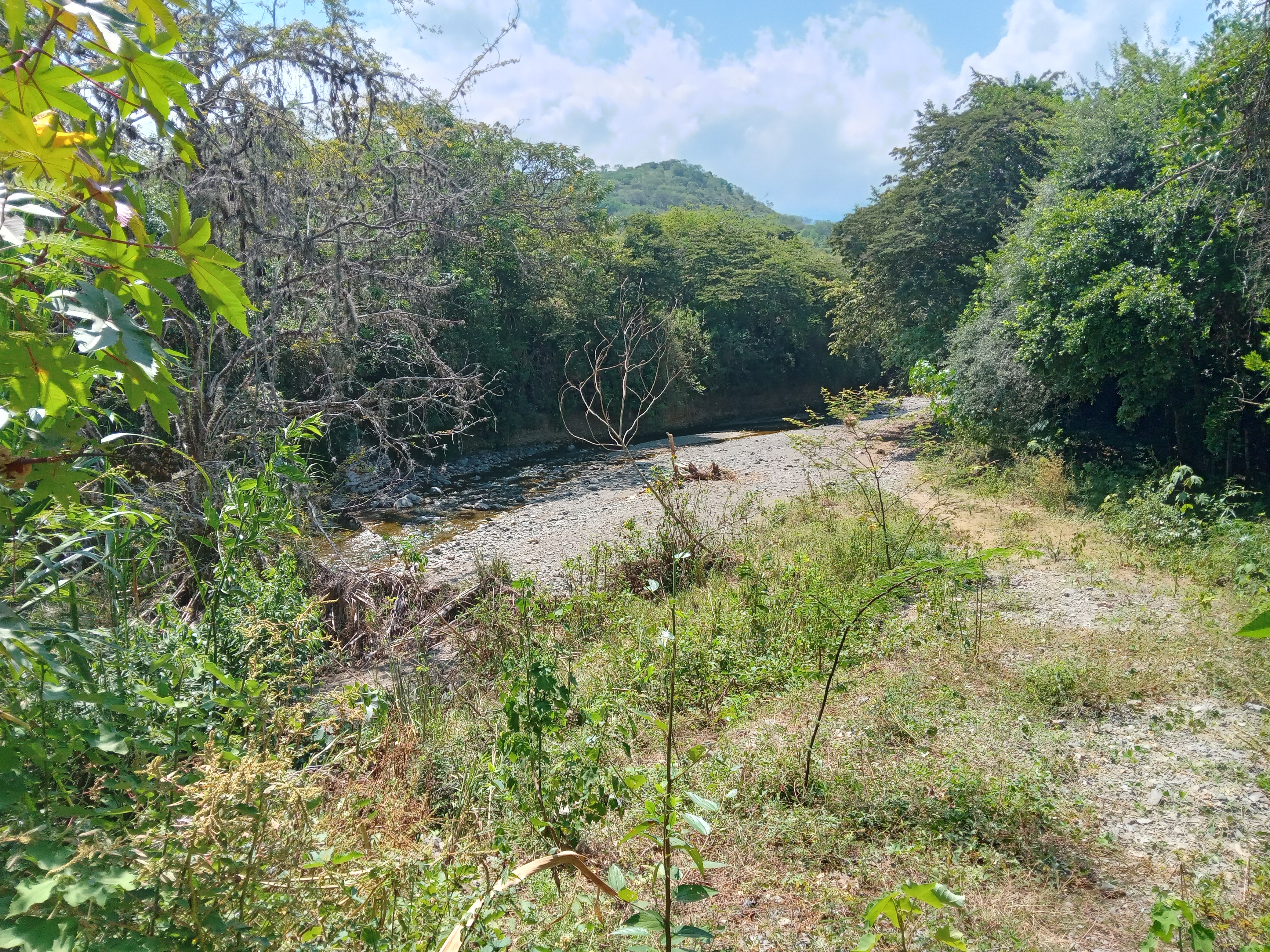Finca Levaniega en Venta, Vía  Palmira  - Pradera,