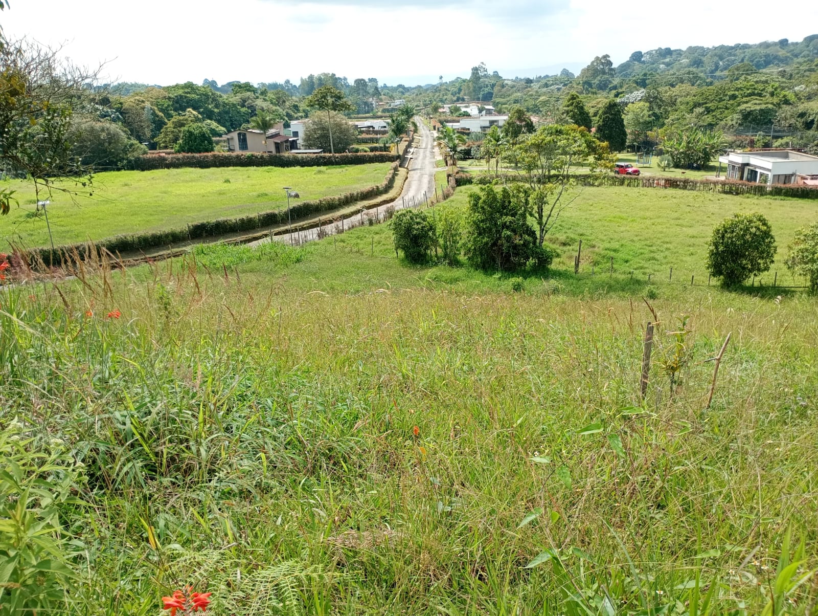 Venta Lote Circasia Quindio Colombia COD: 8421089