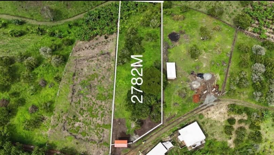 Venta Lote en Quimbaya. Quindio - Colombia COD: 9463095