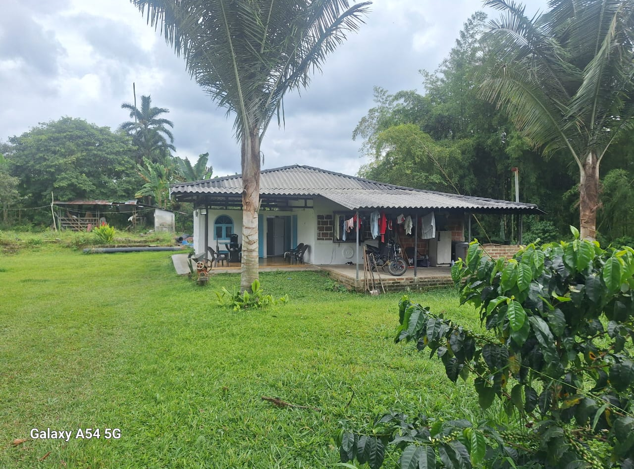 Venta Finca Circasia Quindio - Colombia COD: 8437375