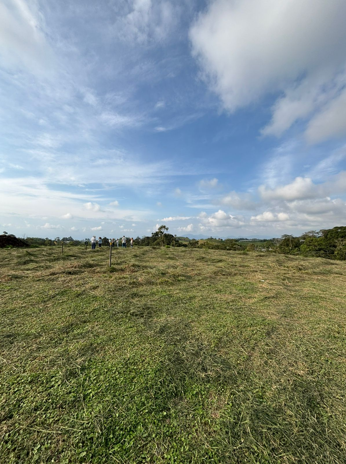 Venta Lote Filandia Quindio - Colombia COD: 8357964