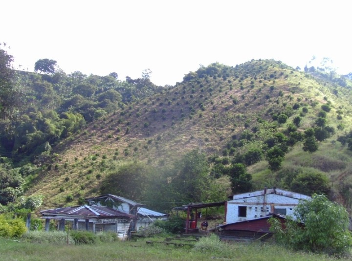 Venta Finca Buenavista Quindio - Colombia COD: 9271712