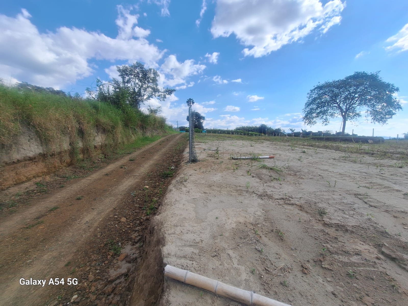 Venta Lotes Armenia Quindio Colombia COD: 8480309