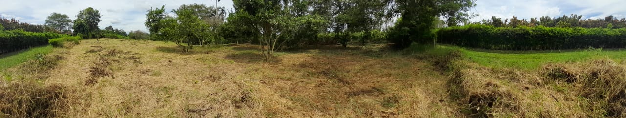 Venta Lote Sur Armenia Quindio - Colombia COD: 6986190