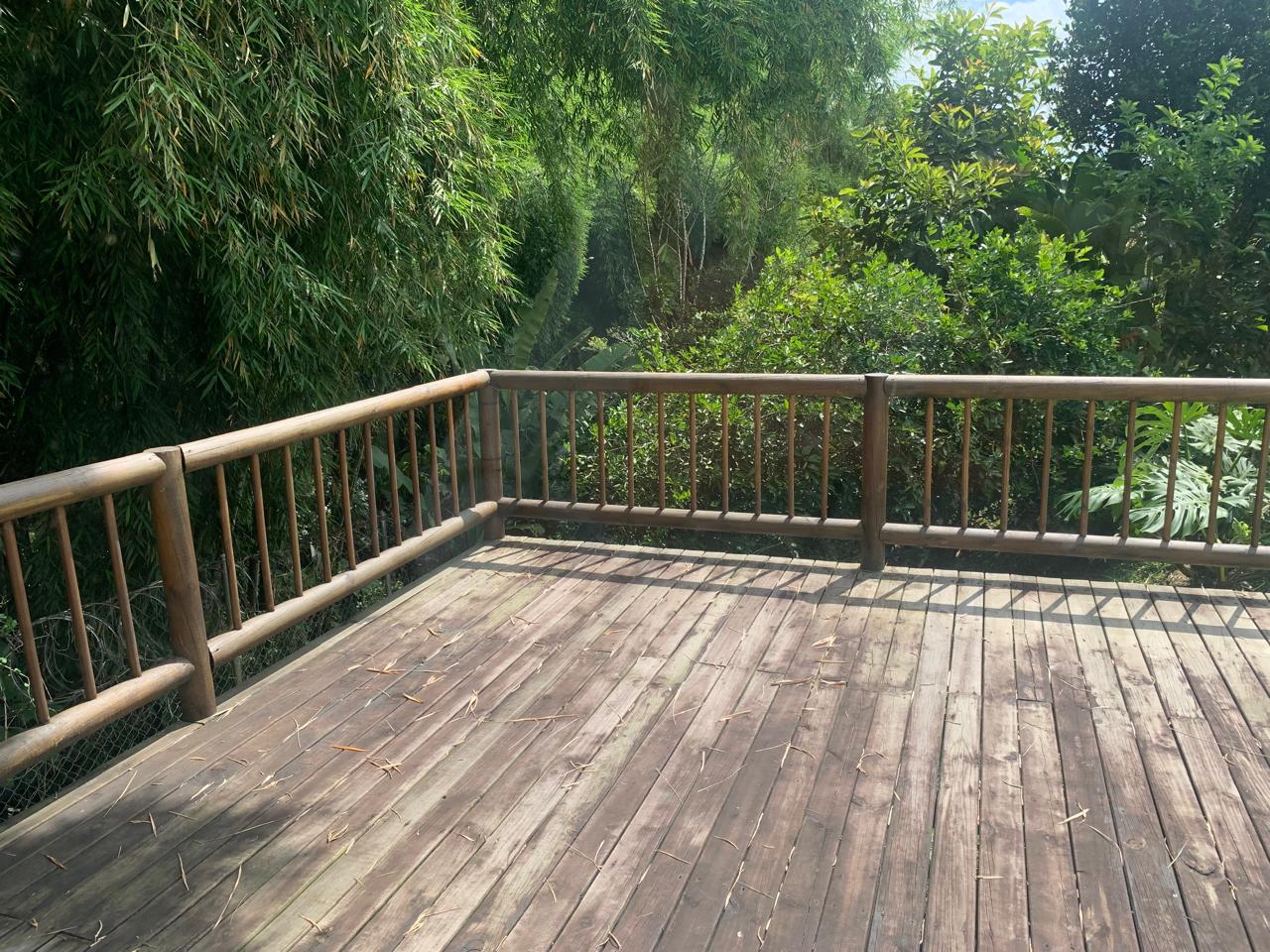 Imagen de VENTA CASA CAMPESTRE,PUEBLITO CAFETERO,PEREIRA,TU VIVIENDA EN COLOMBIA