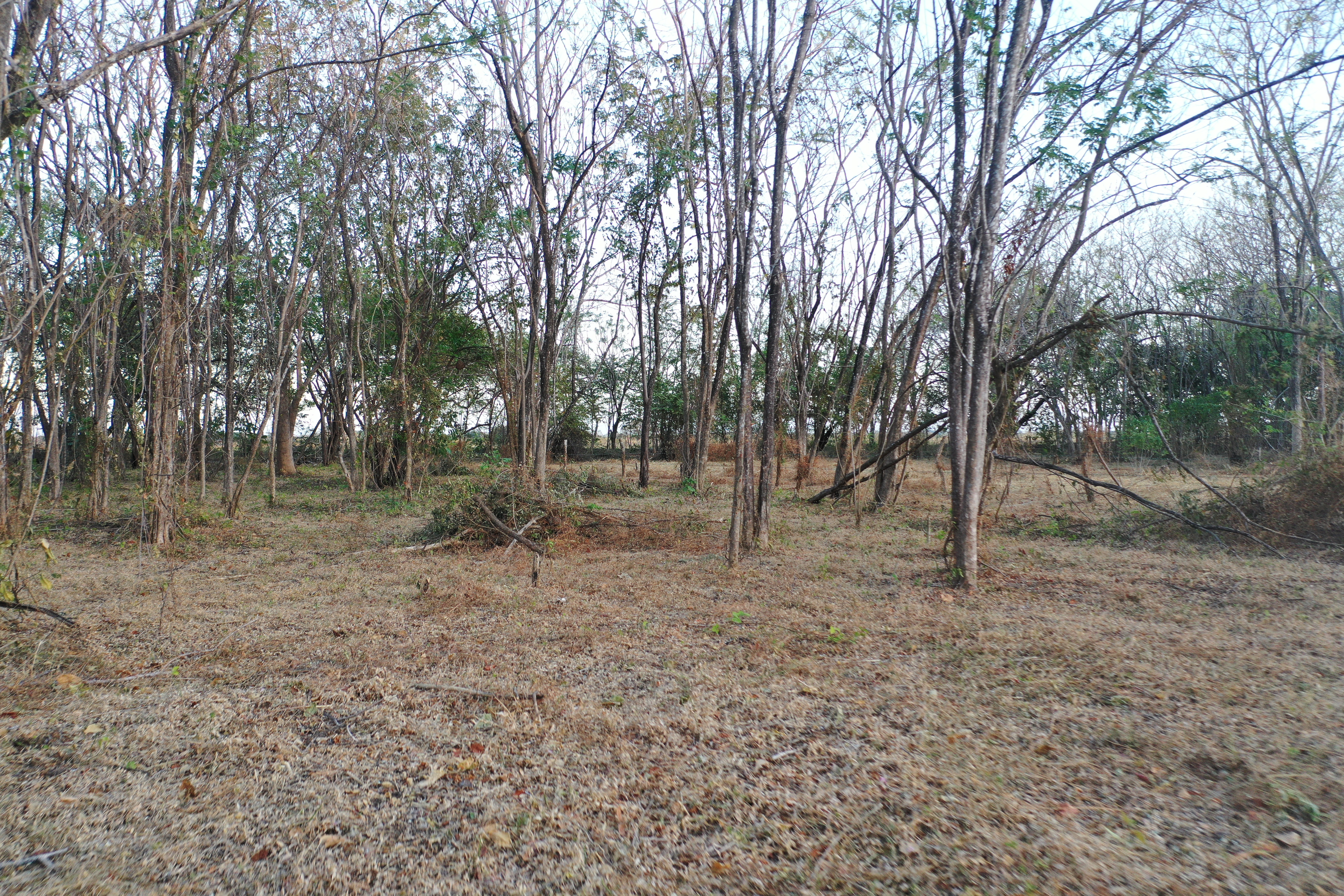 Lotes en venta LA JUANISLAMA, Liberia, Guanacaste