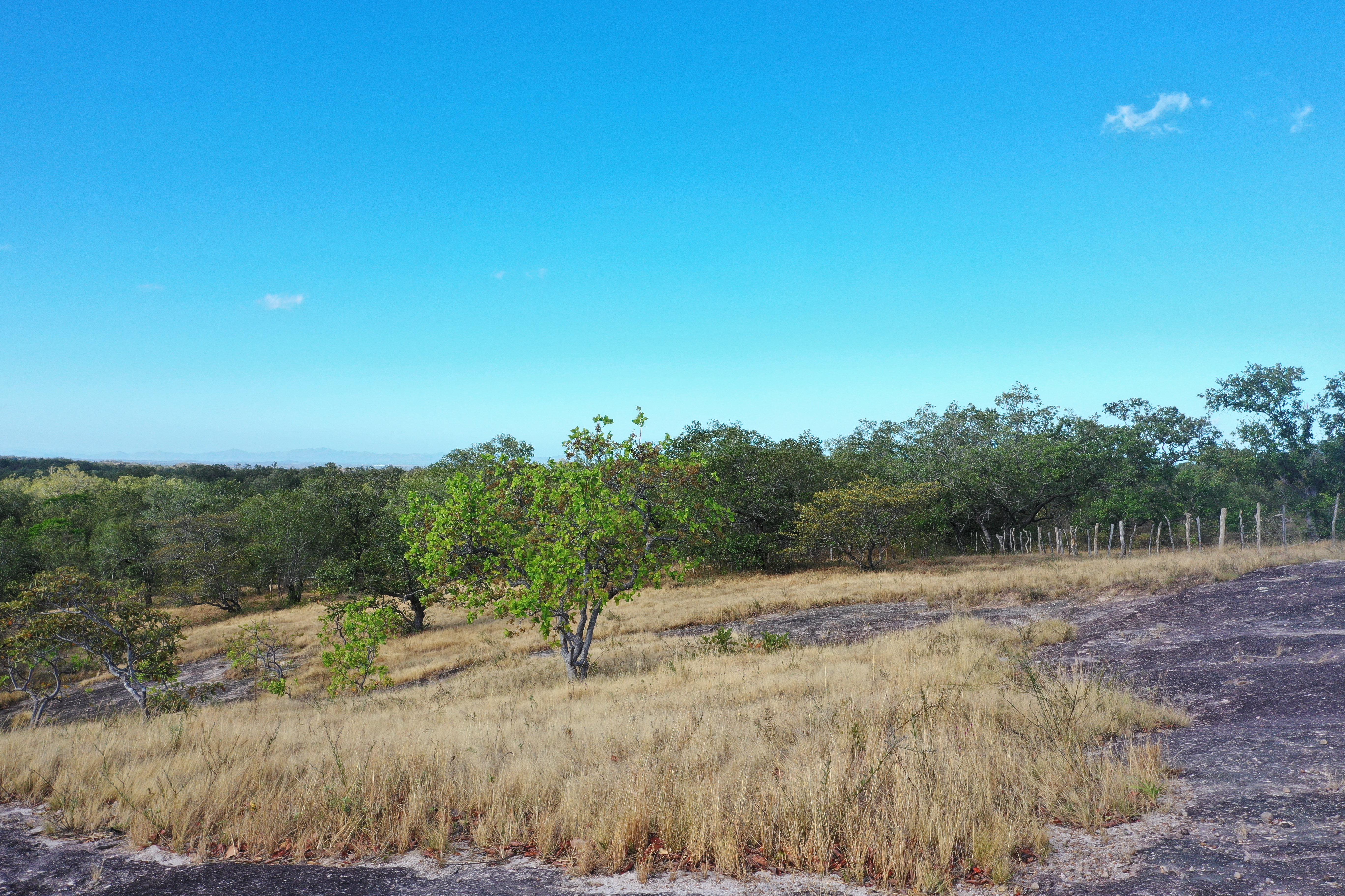 FARM FOR SALE - CURUBANDE | LIBERIA