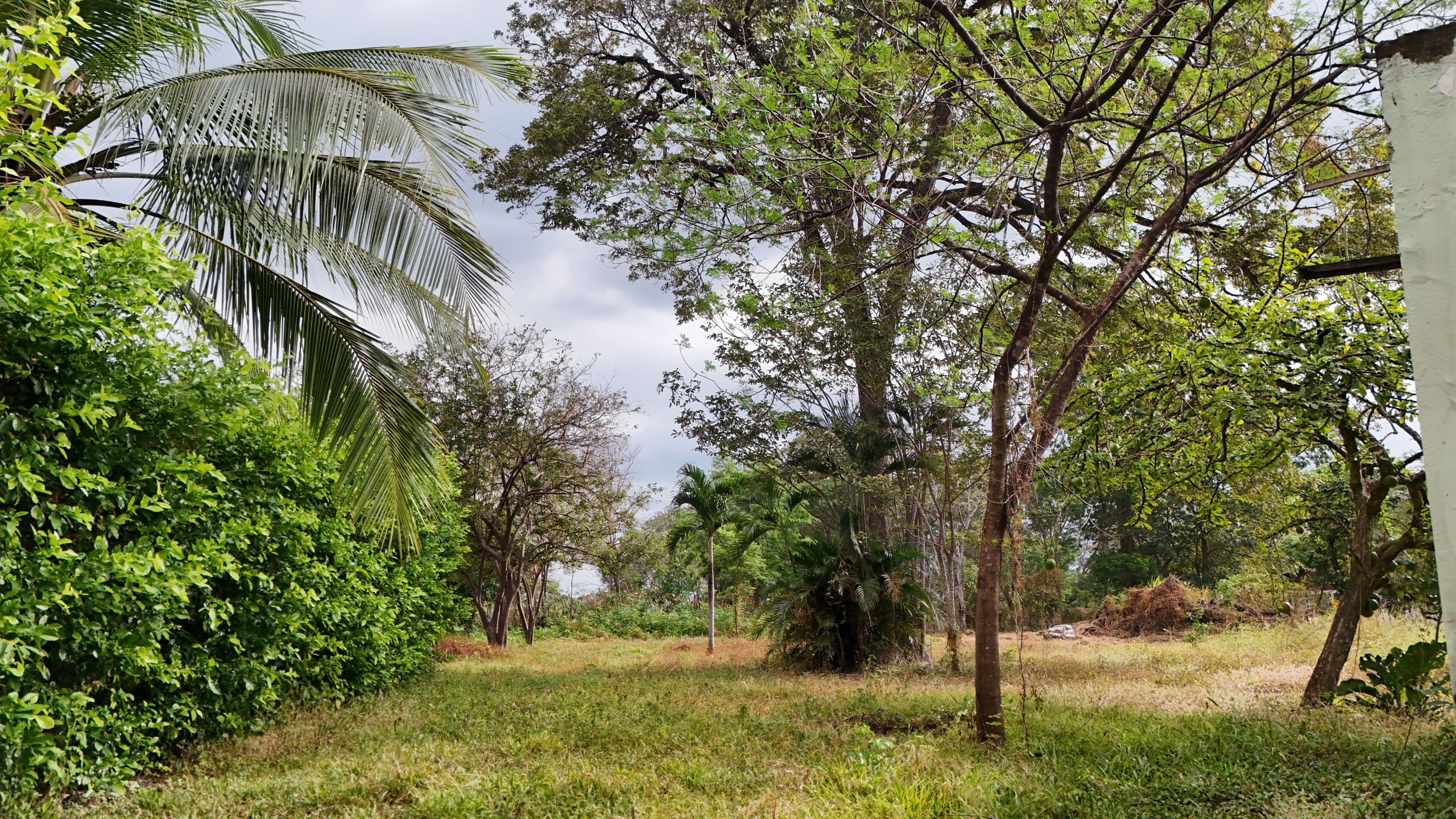 LOTE EN VENTA - LA CARAÑA | LIBERIA