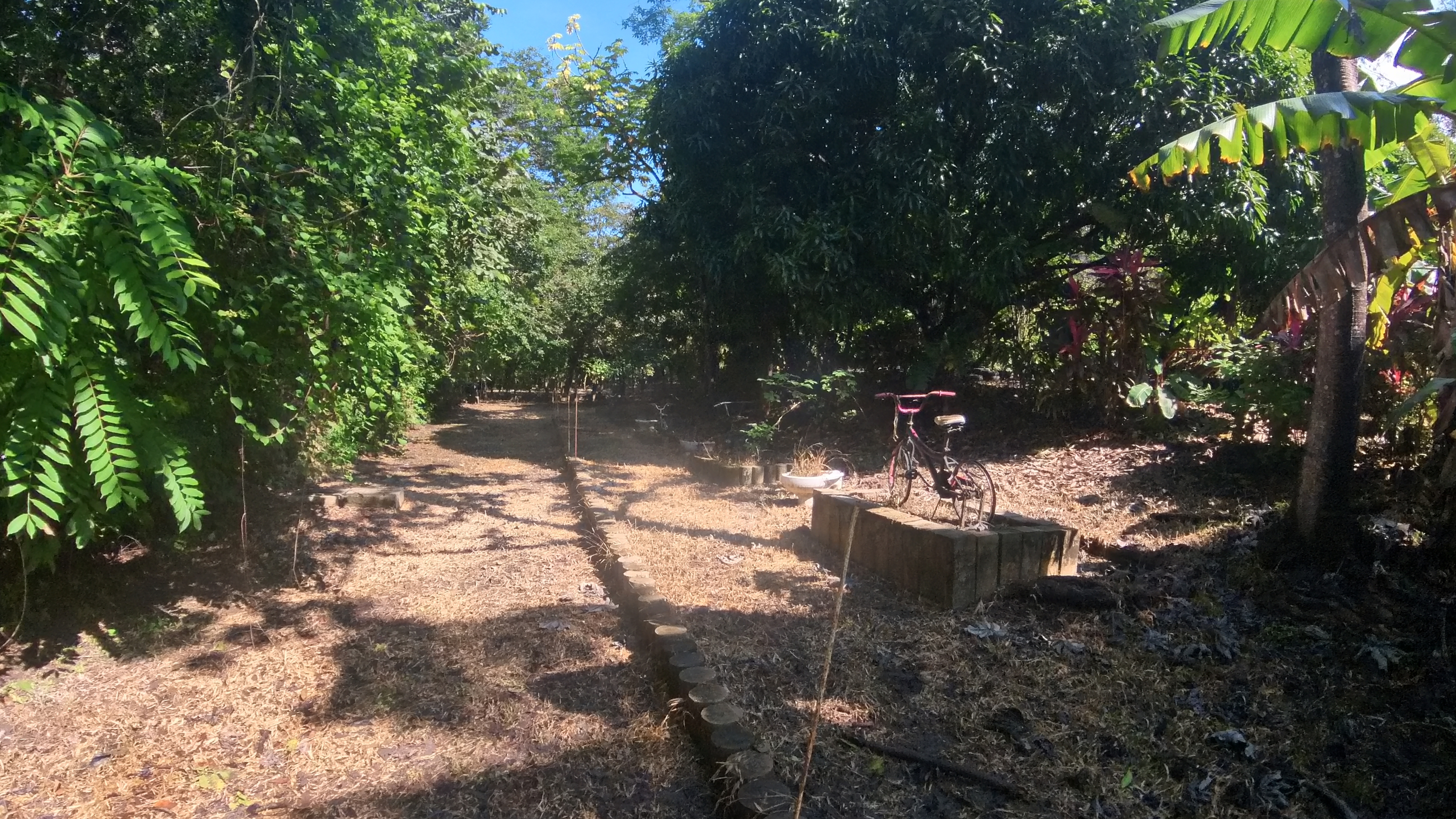 COUNTRY SIDE HOUSE FOR SALE QUINTAS DON MIGUEL - BAGACES