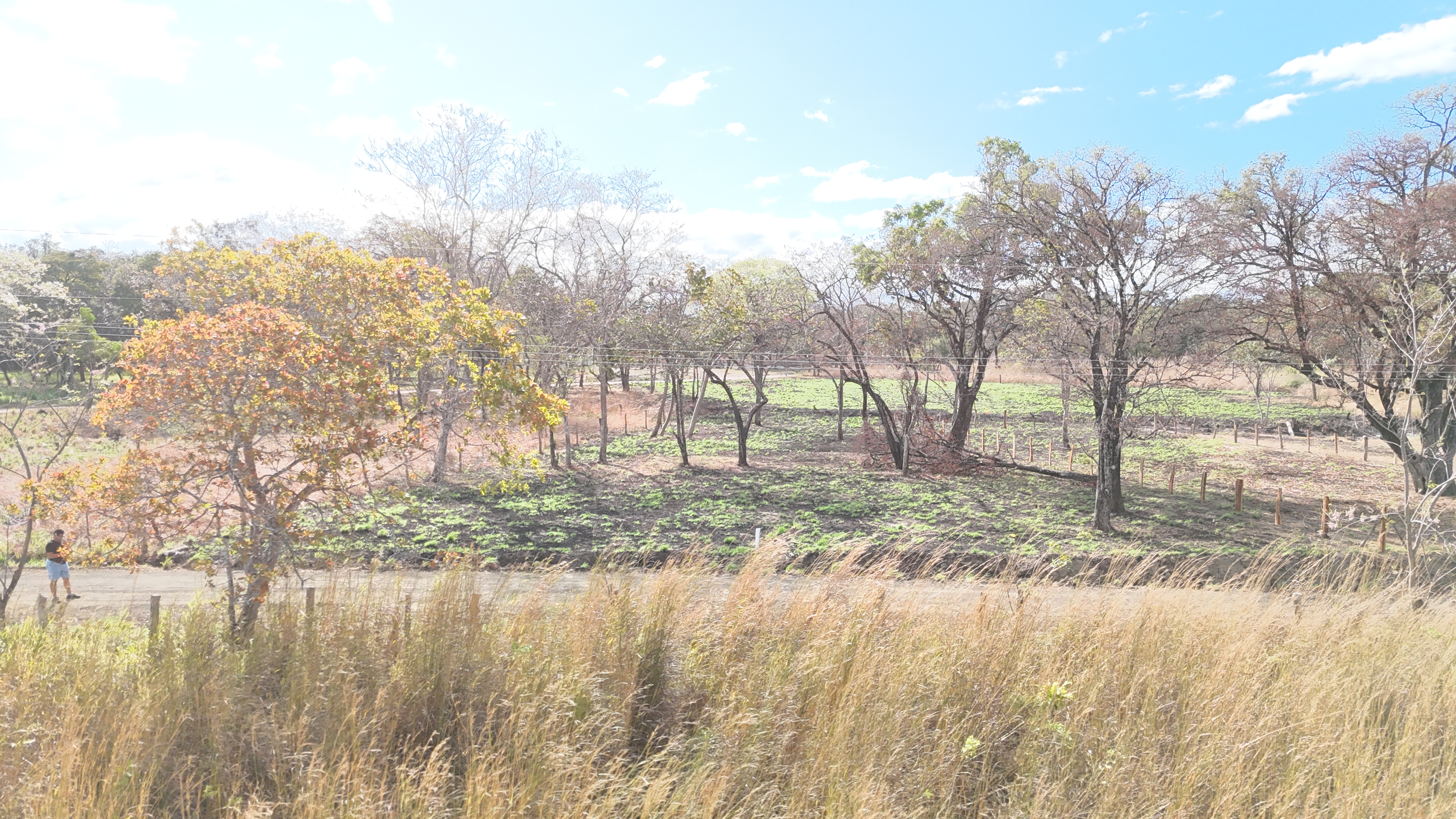 LOTES EN VENTA RODEITO - LIBERIA