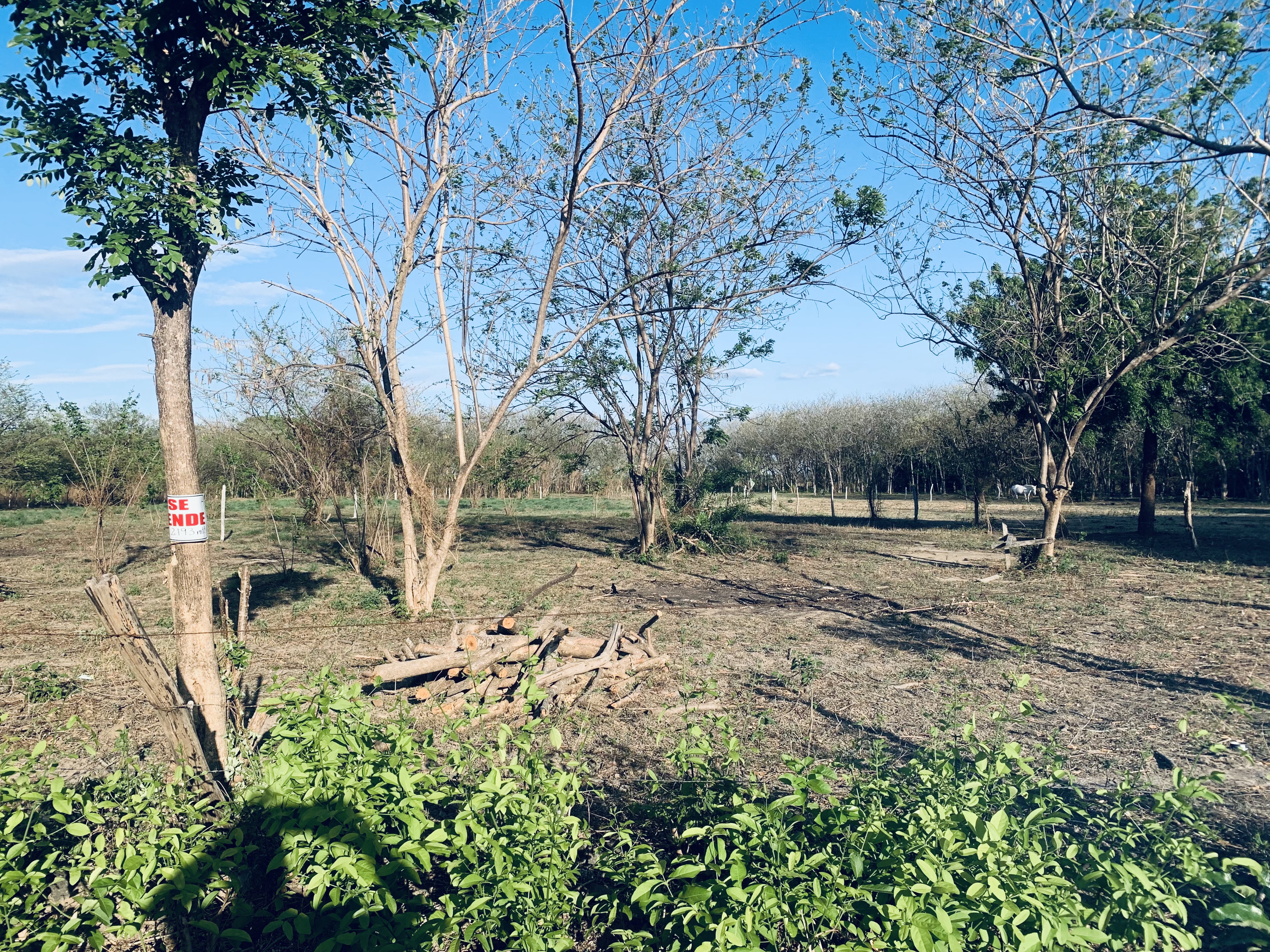 Lotes en venta LA JUANISLAMA, Liberia, Guanacaste