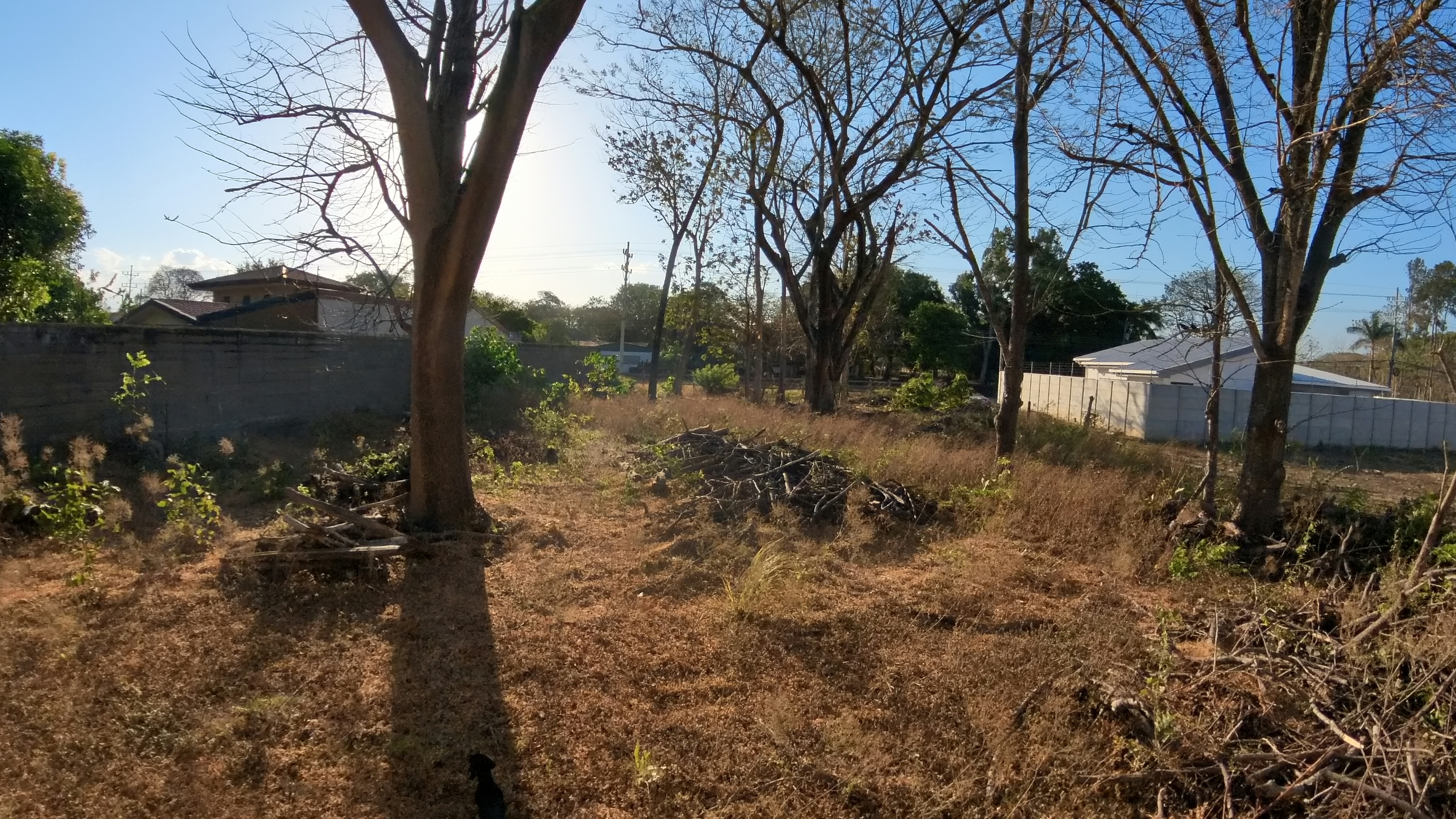 LOTE EN VENTA - LIBERIA | BARRIO LA CRUZ MADROÑO