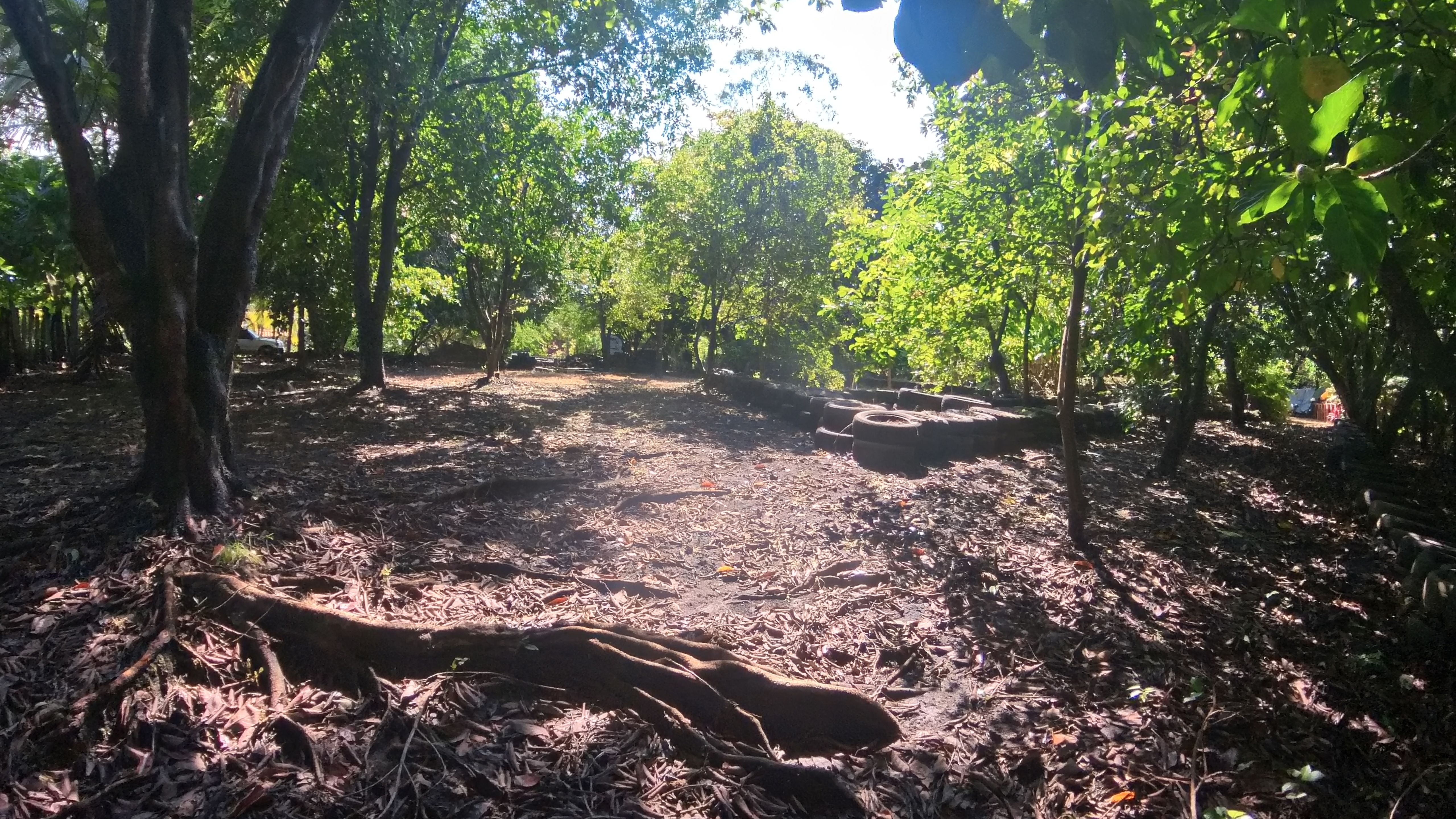 COUNTRY SIDE HOUSE FOR SALE QUINTAS DON MIGUEL - BAGACES