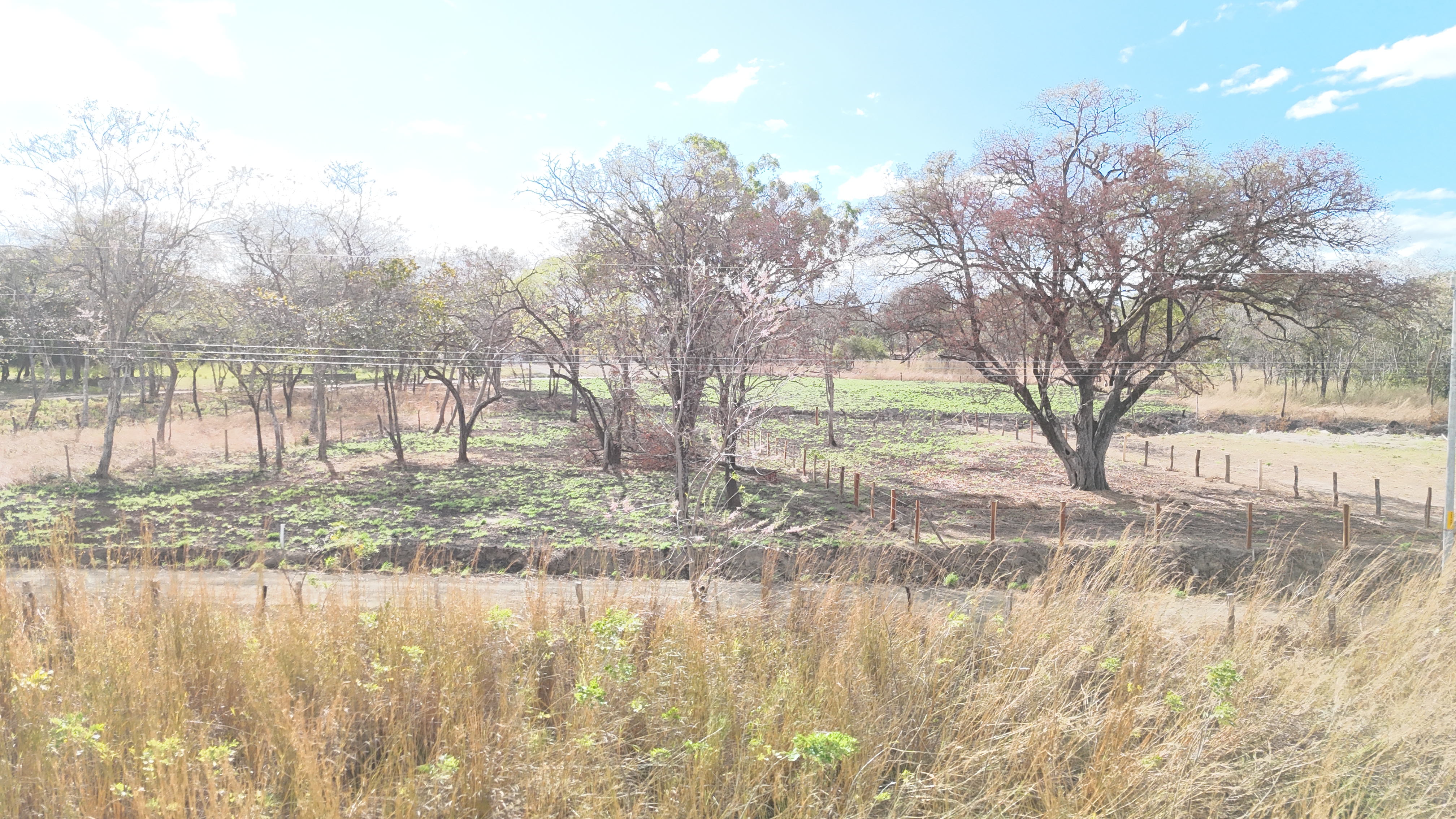 LOTES EN VENTA RODEITO - LIBERIA