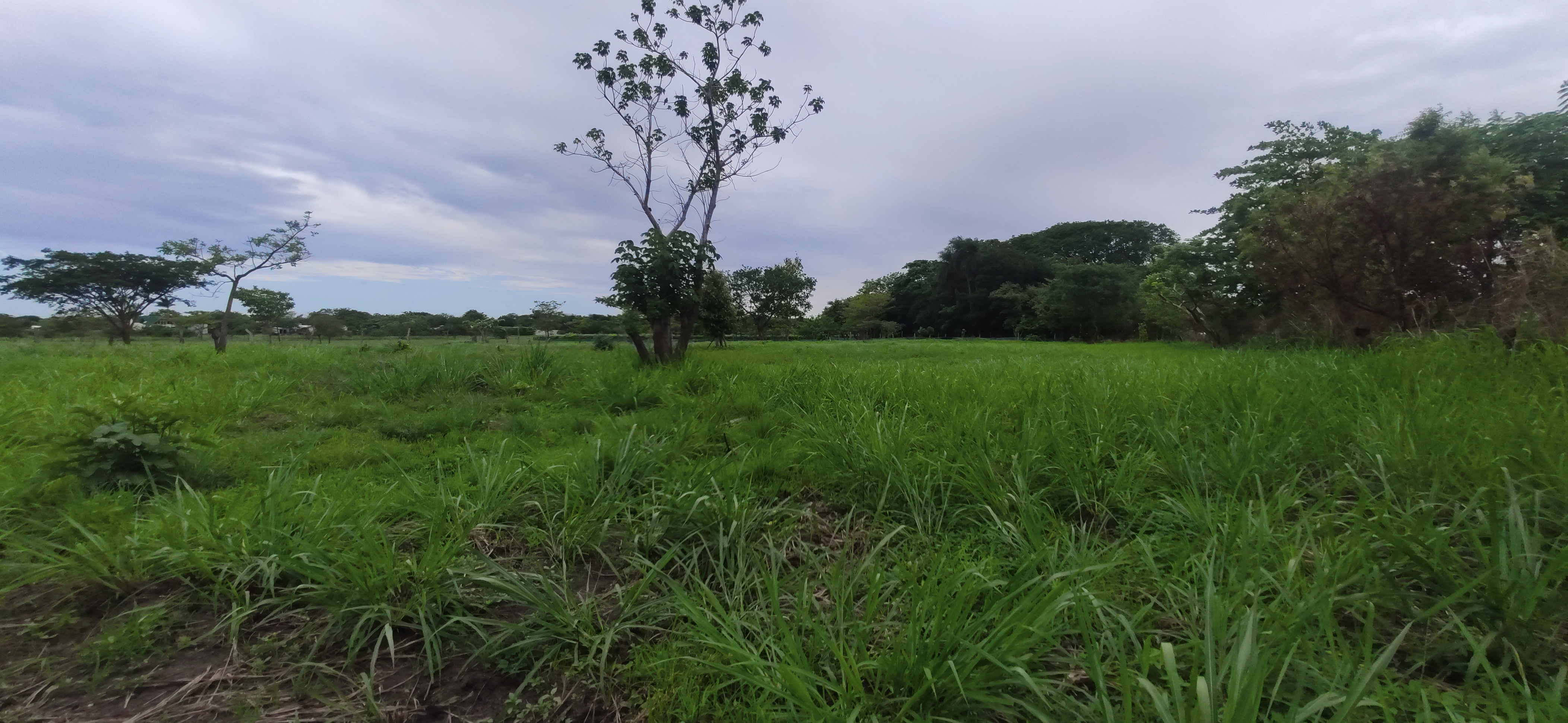 LOTE COMERCIAL EN VENTA SANTA ANA - LIBERIA