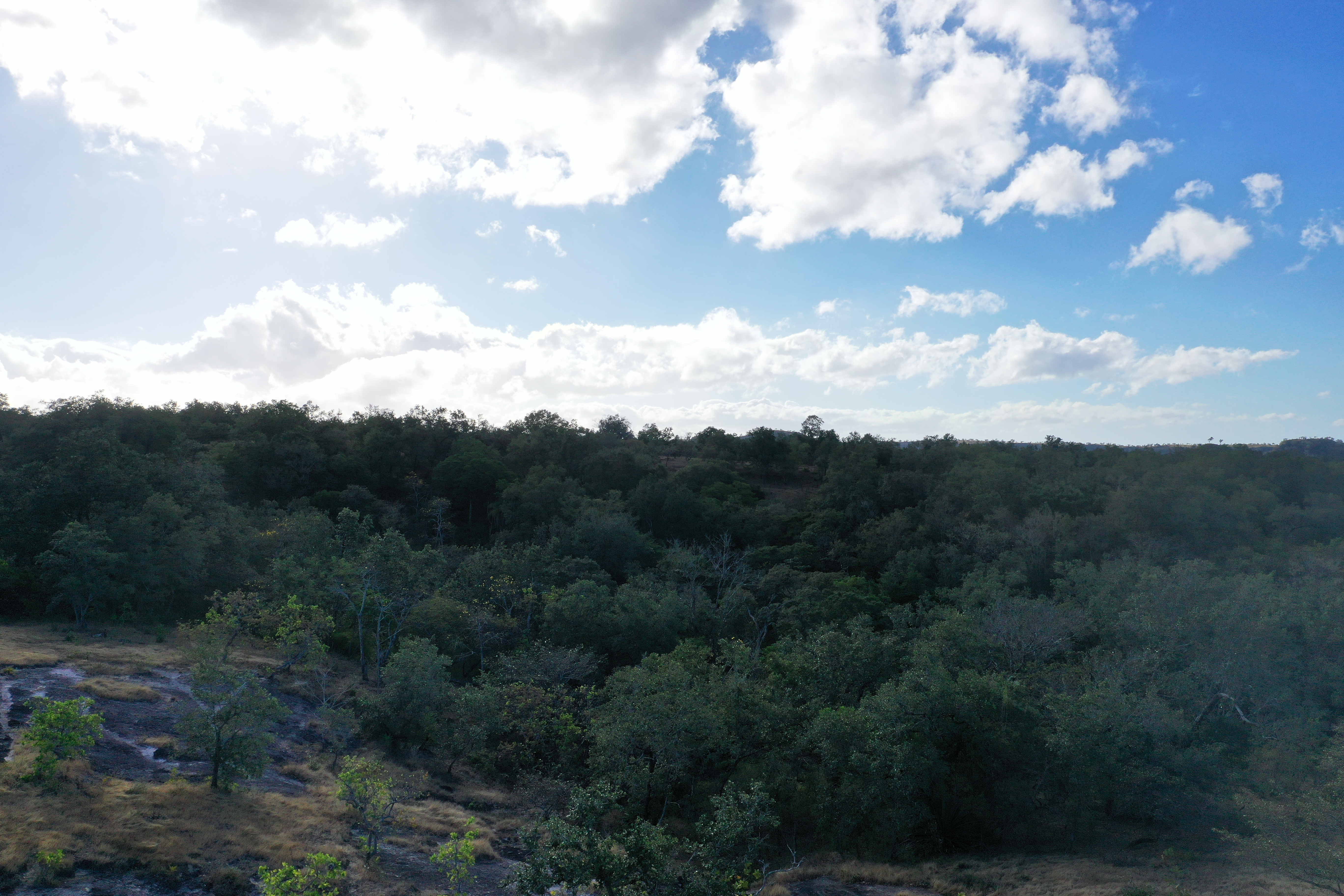FARM FOR SALE - CURUBANDE | LIBERIA