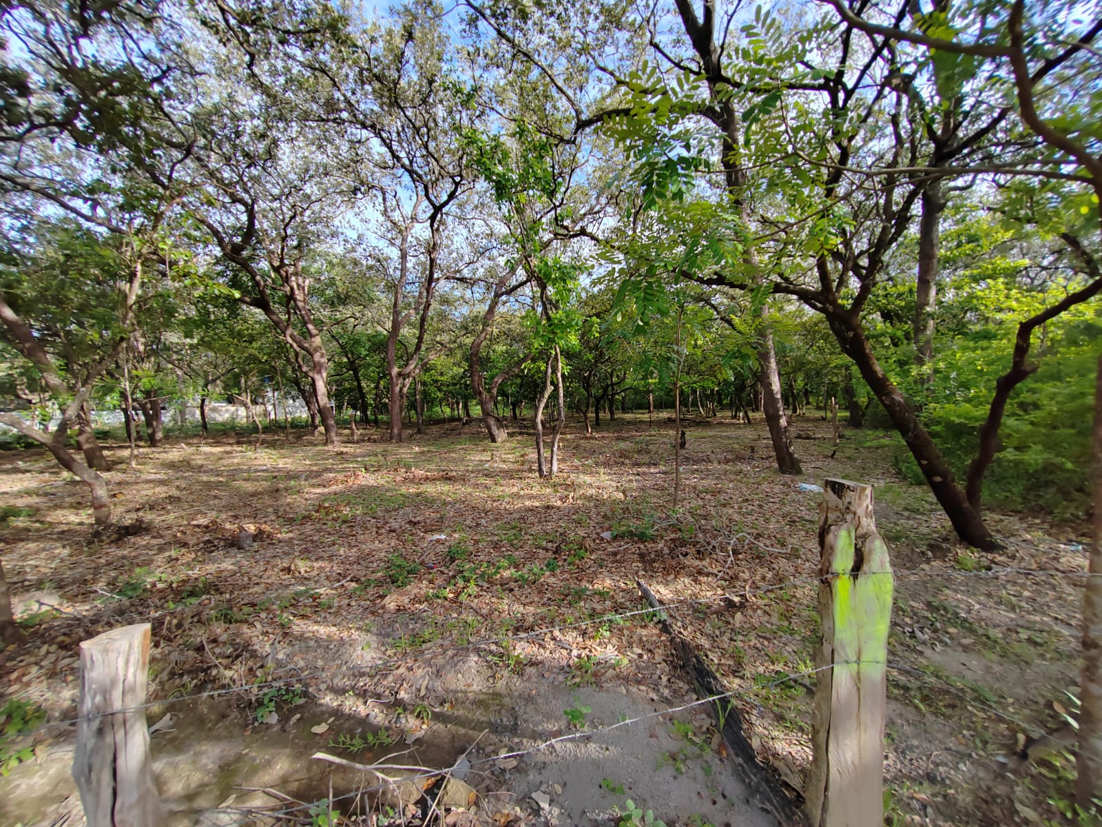 Se Vende Lote de 1986 m2, Guadalupe, Liberia, Guanacaste