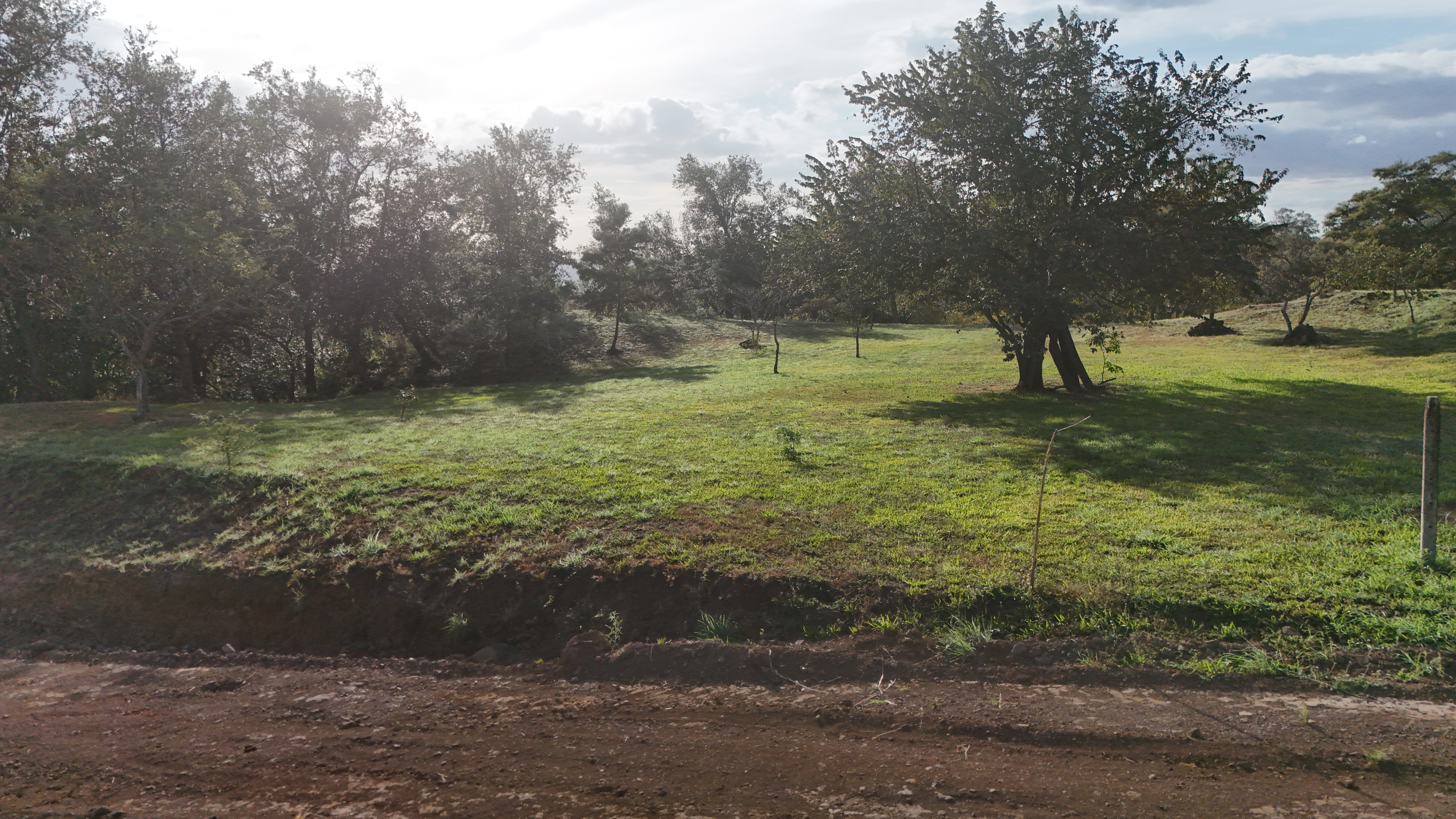 VENDO TERRENOS DE 5000m² - CAÑAS DULCES | LIBERIA