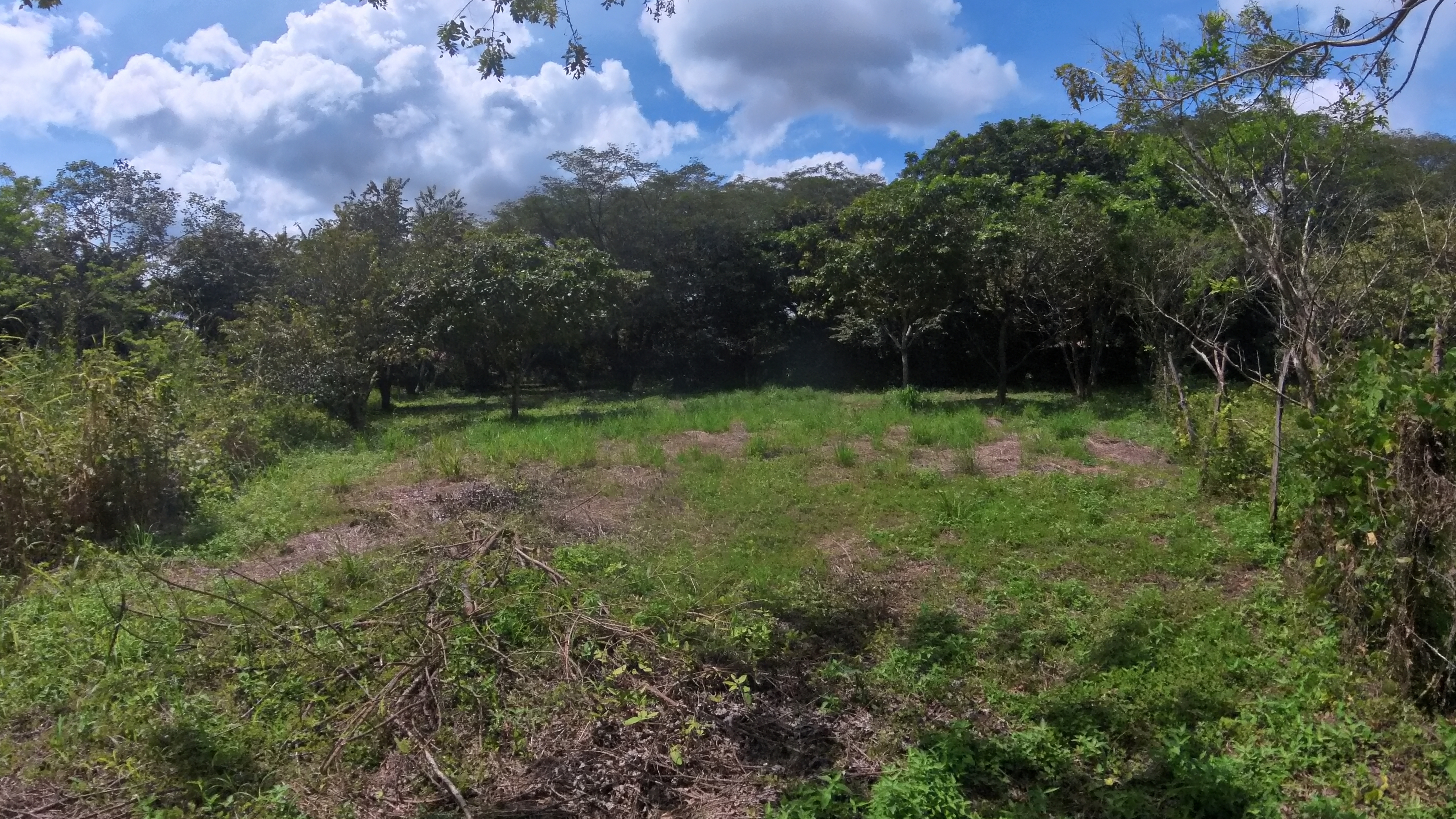 LOTE EN VENTA LA AMERICA - LIBERIA