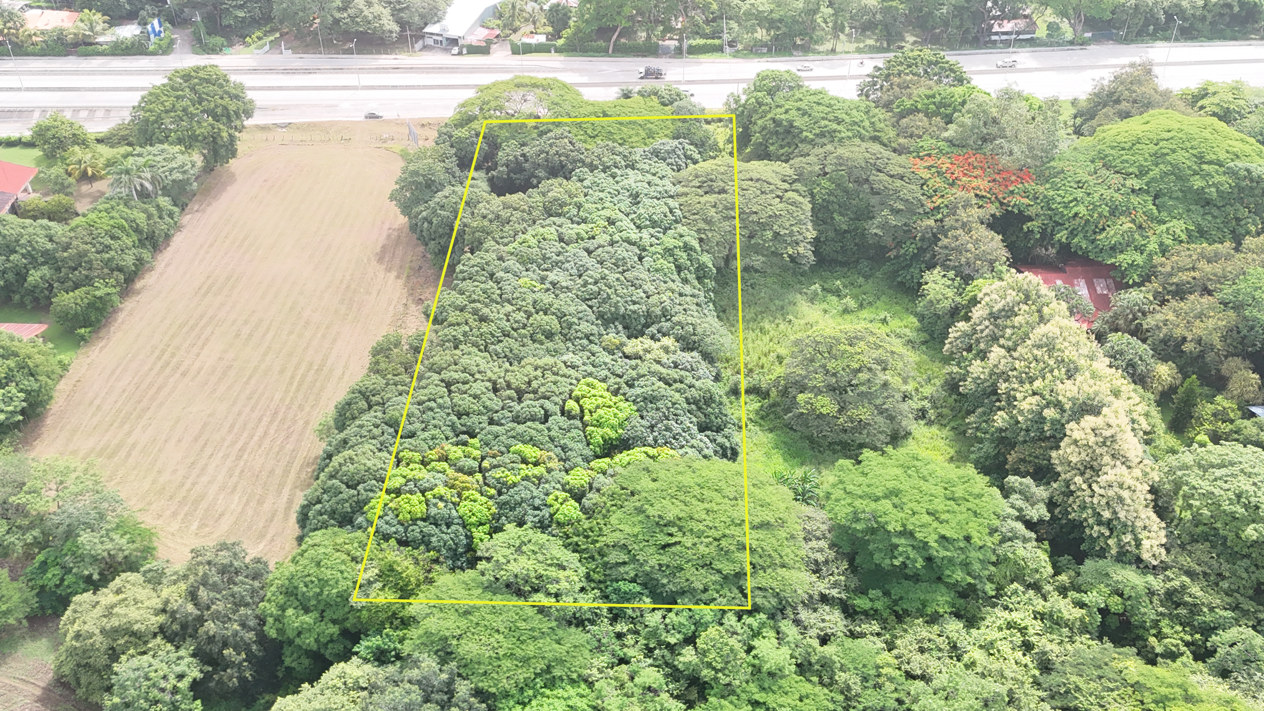 LOTE COMERCIAL RUTA 1 - LIBERIA