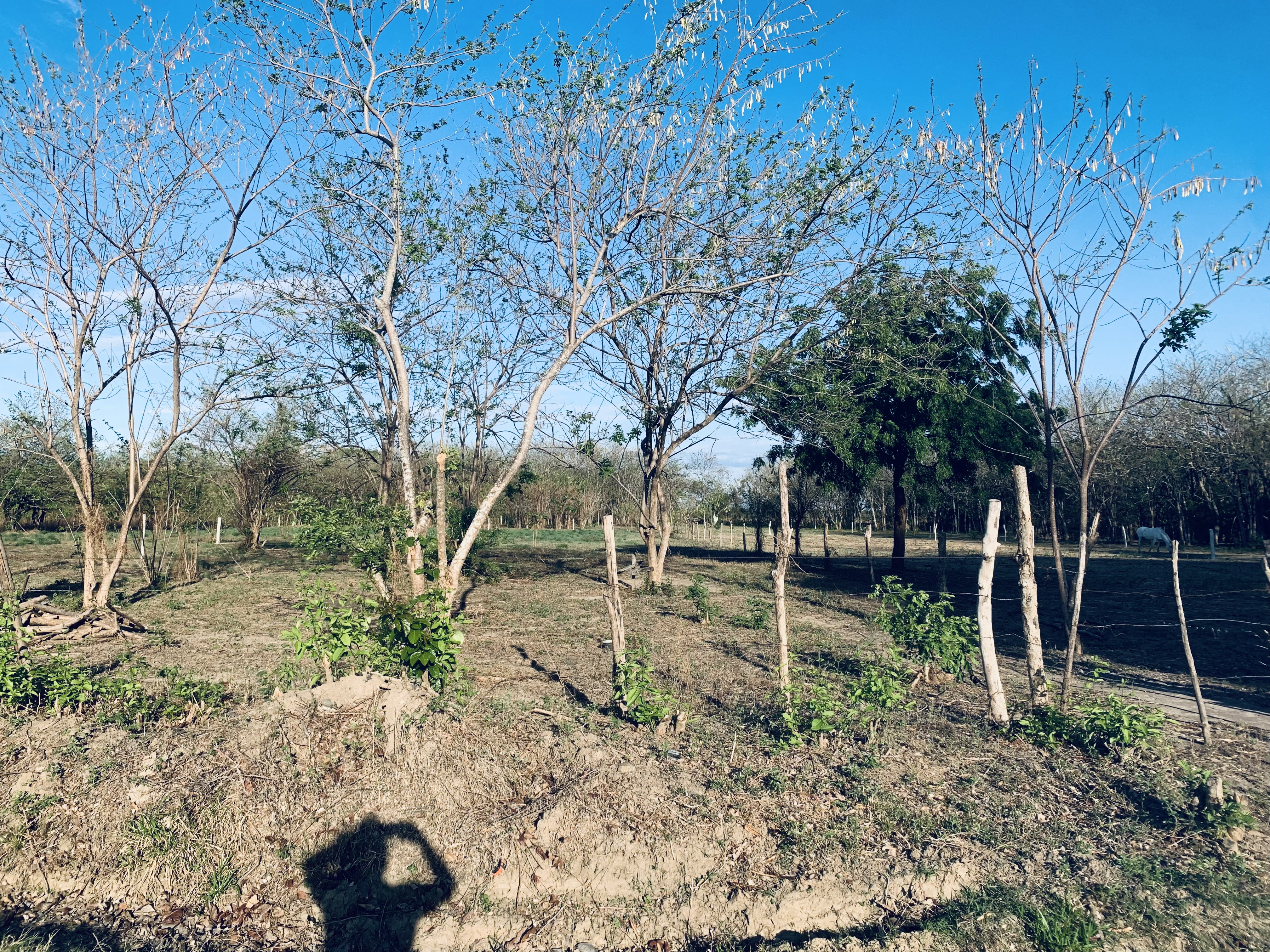 Lotes en venta LA JUANISLAMA, Liberia, Guanacaste