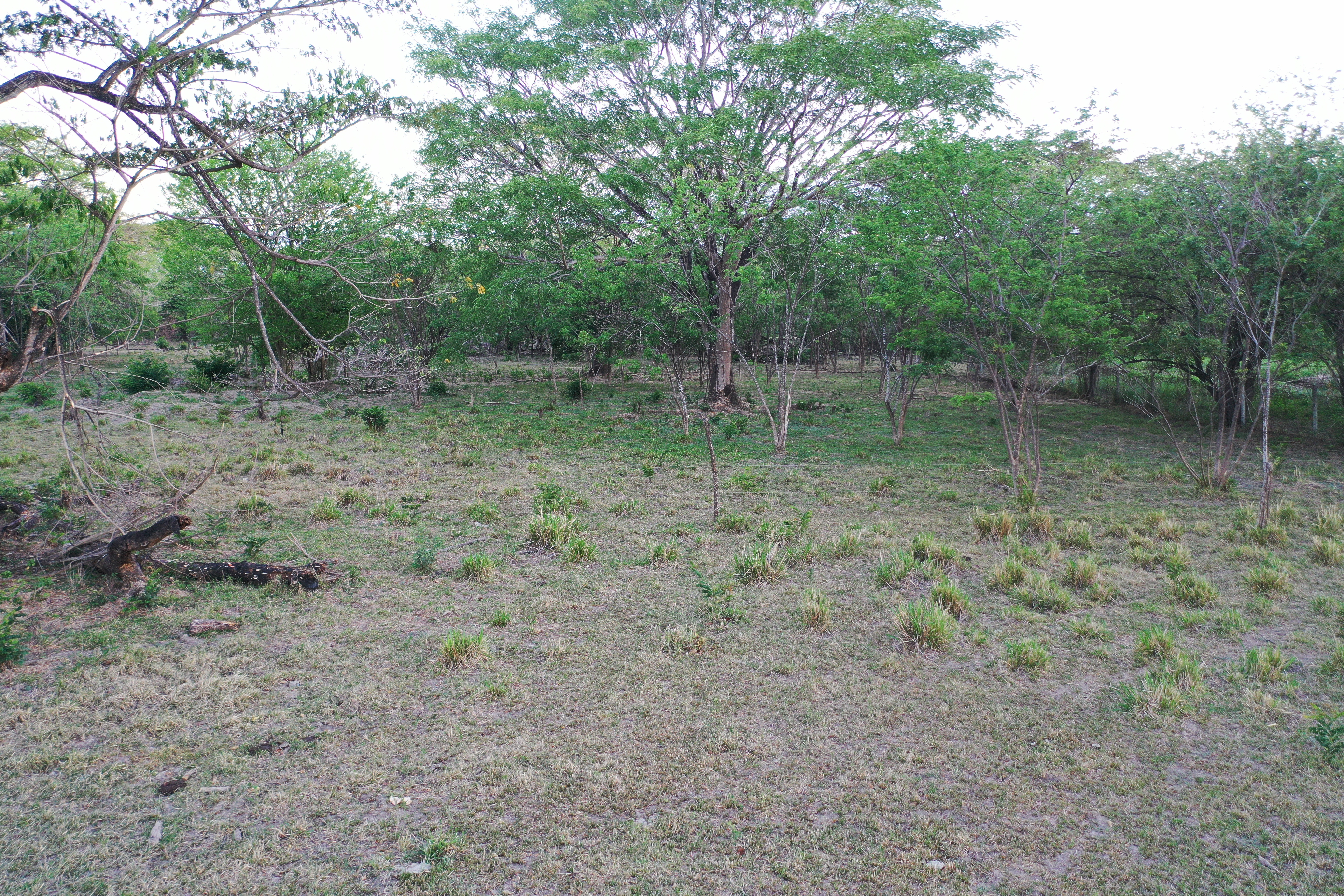 Lotes en venta para construir El Trapiche, Liberia, Guanacaste