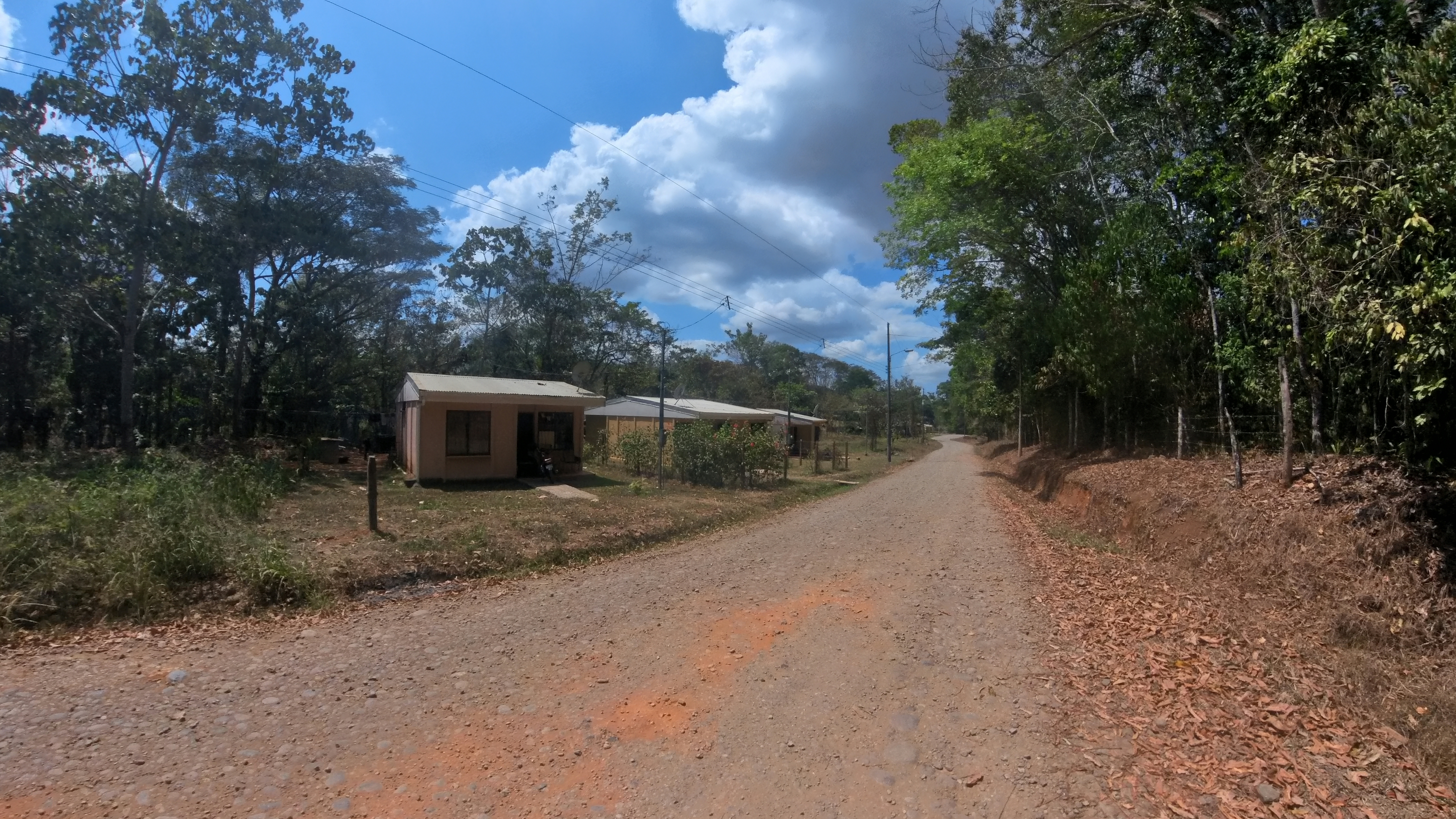 Rosibel Farm, Birdwatching paradise, La Verbena, Upala, Costa Rica